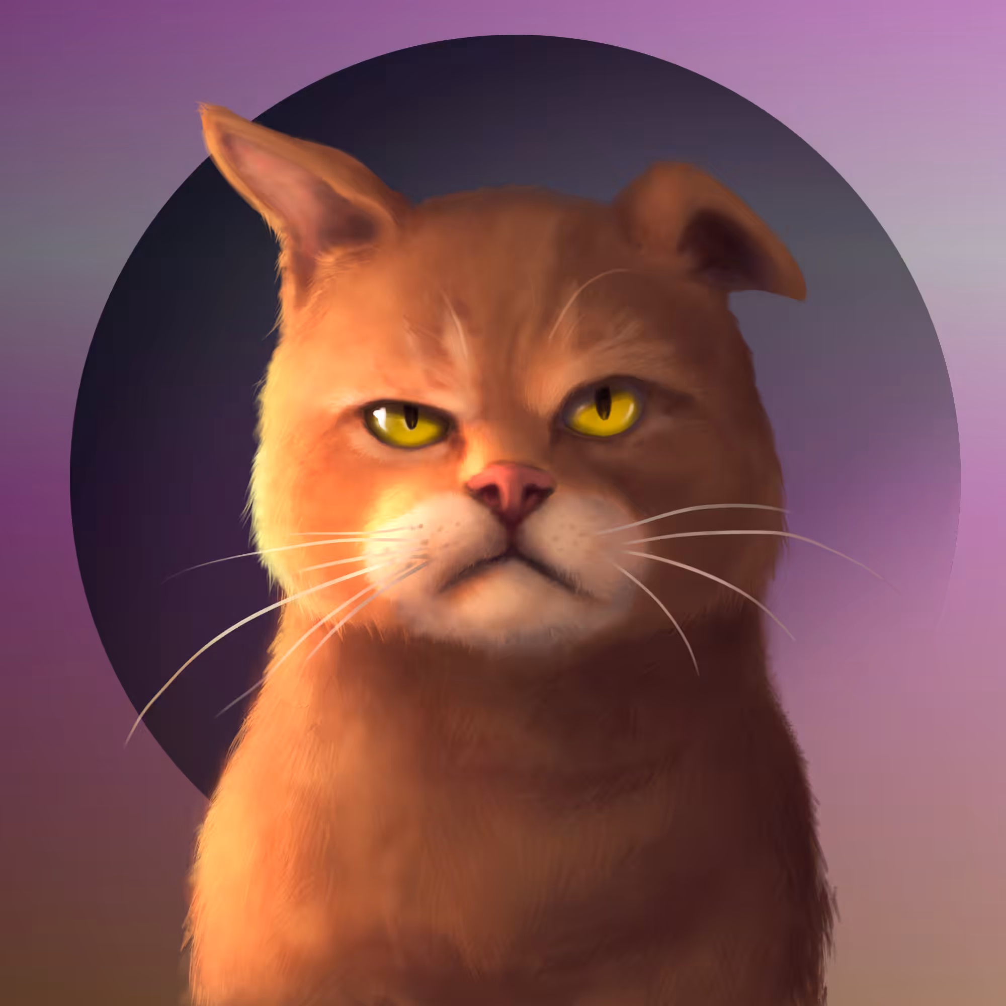 Gangsta Cat #13