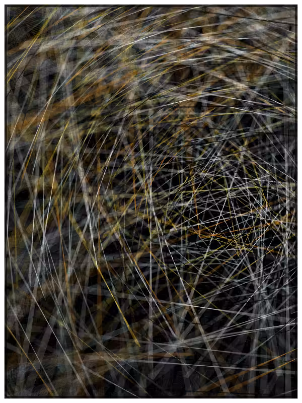 Haystack in a Needle #71