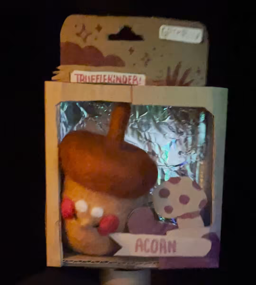 [TRUFFLEKINDER] Acorn