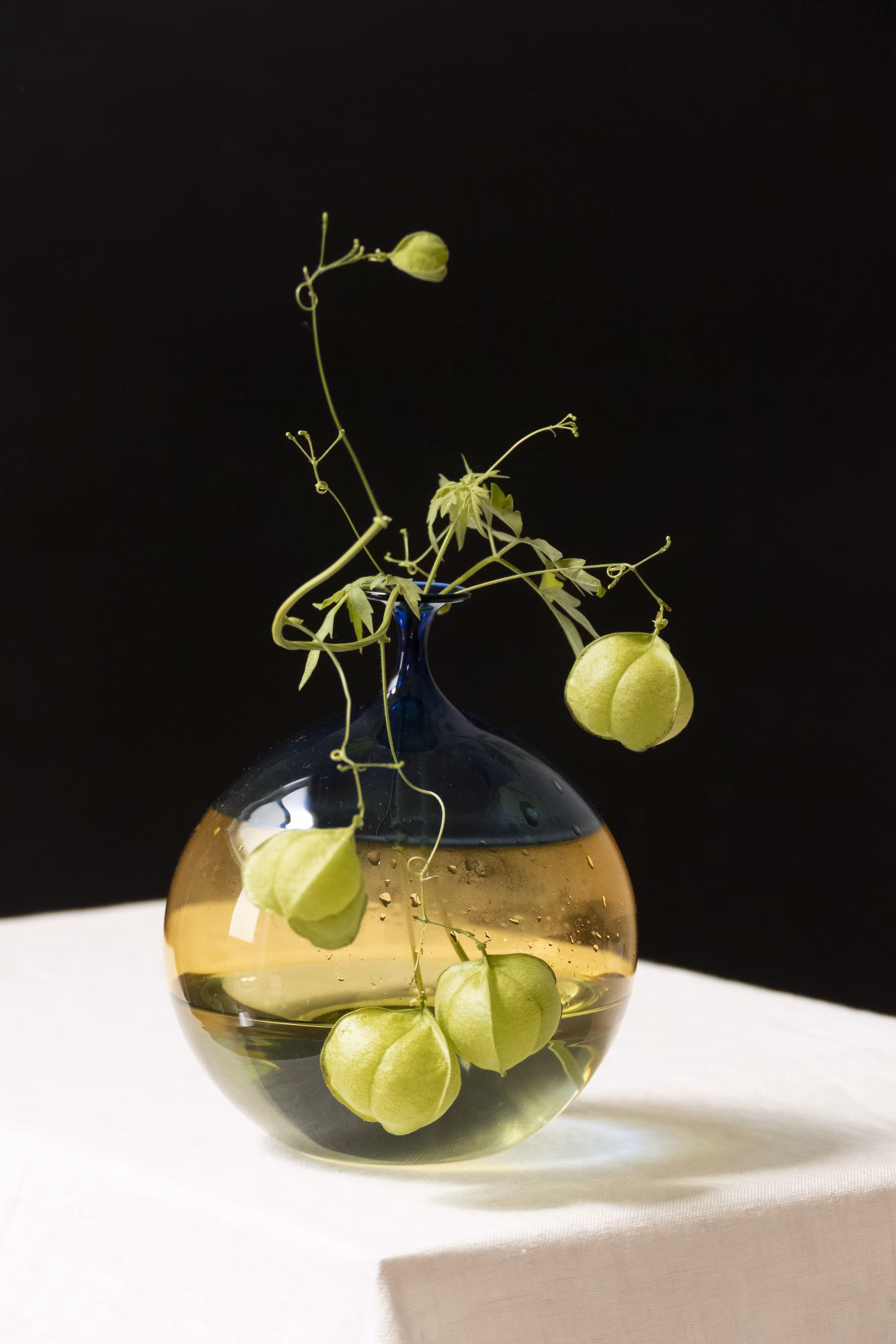 Still Life #11