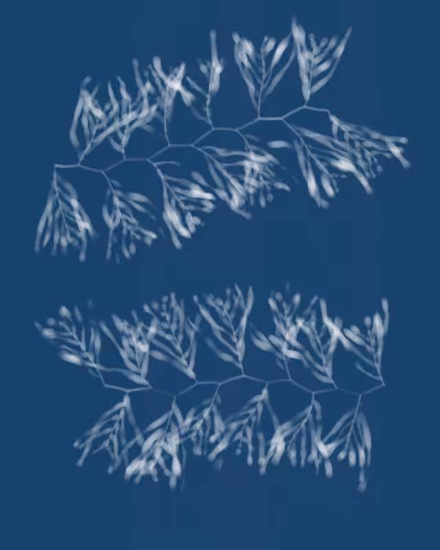 Cyanotypes #262