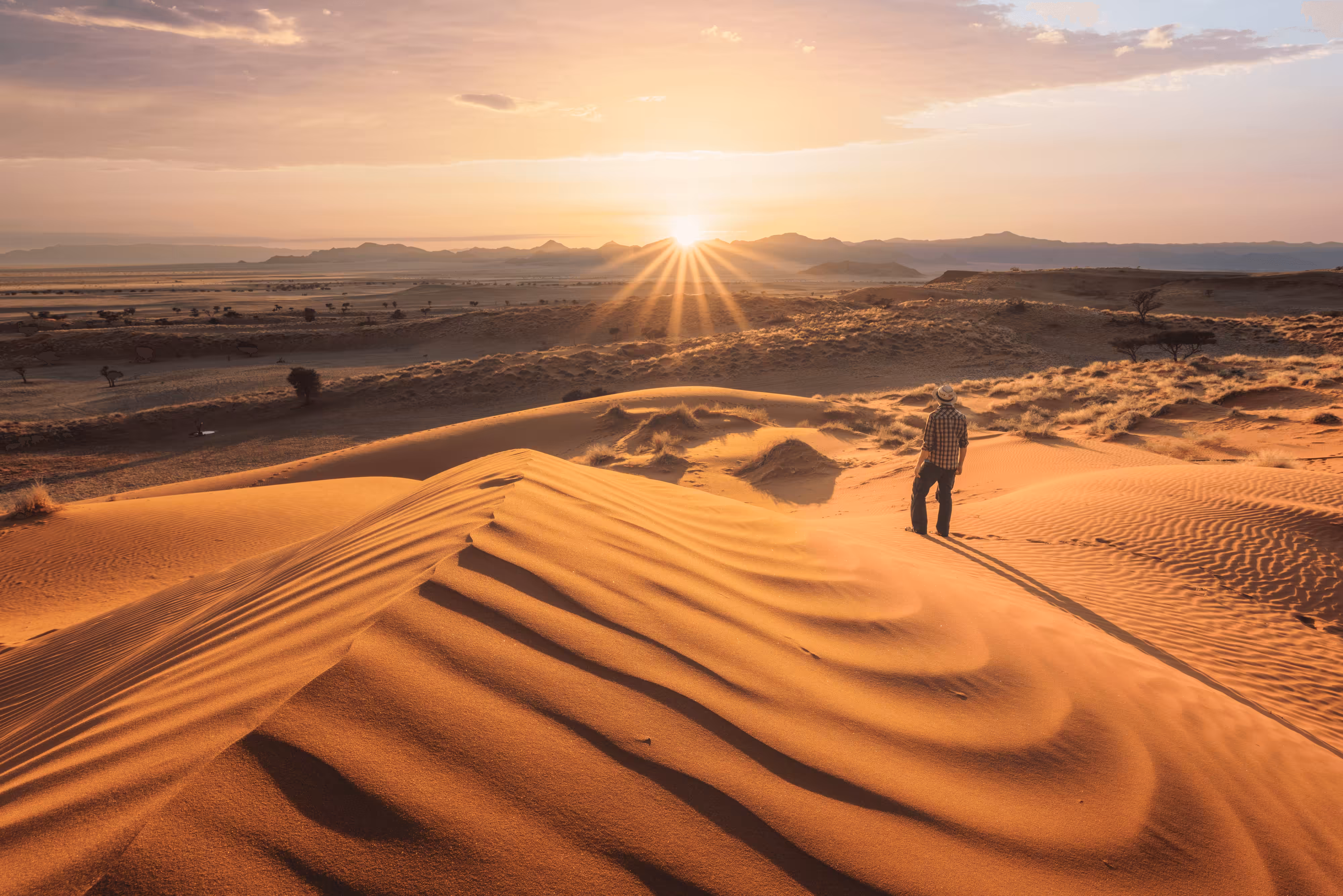 #14 - Desert Rose