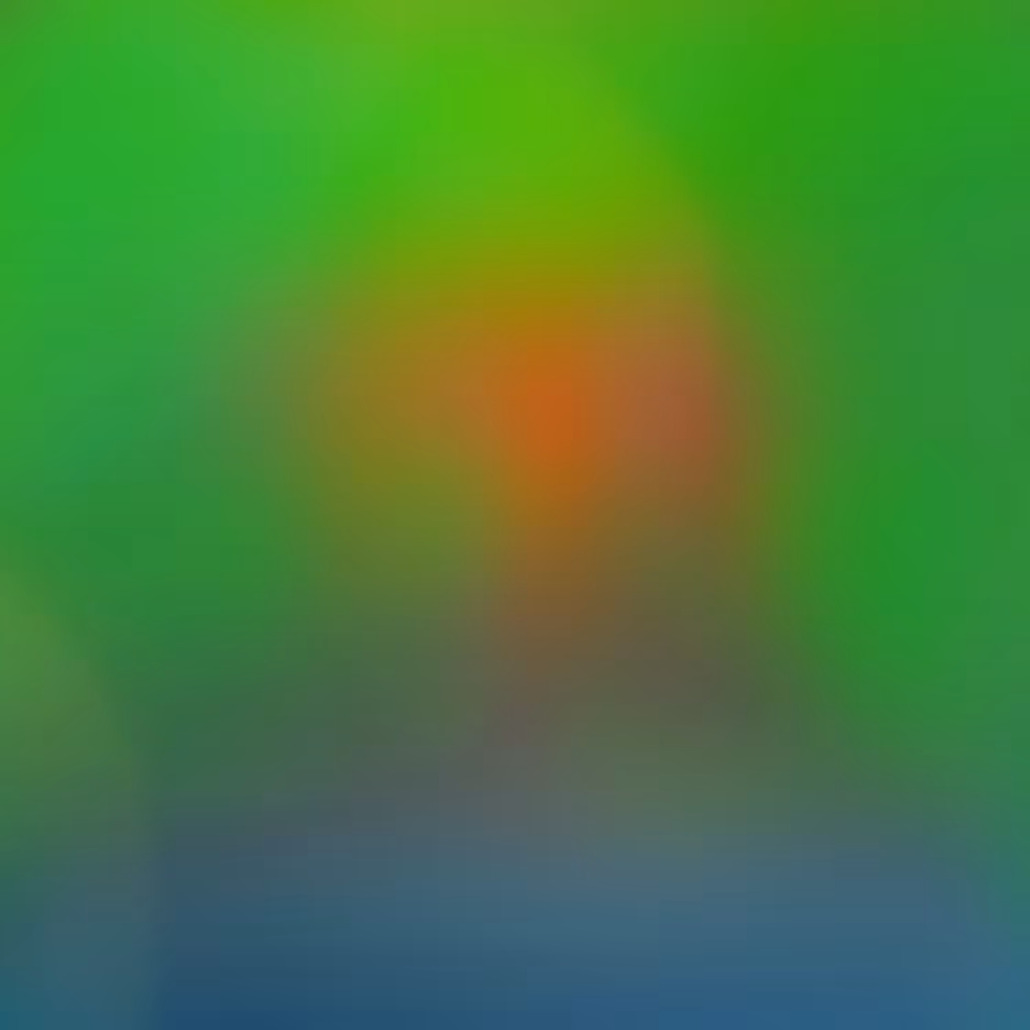 Autochroma #065