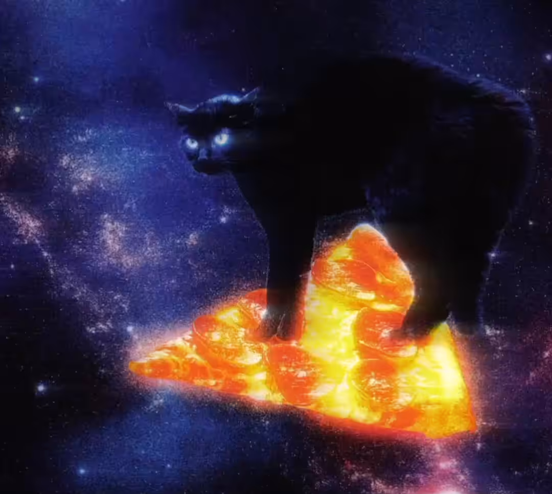 Space Pizza Cat