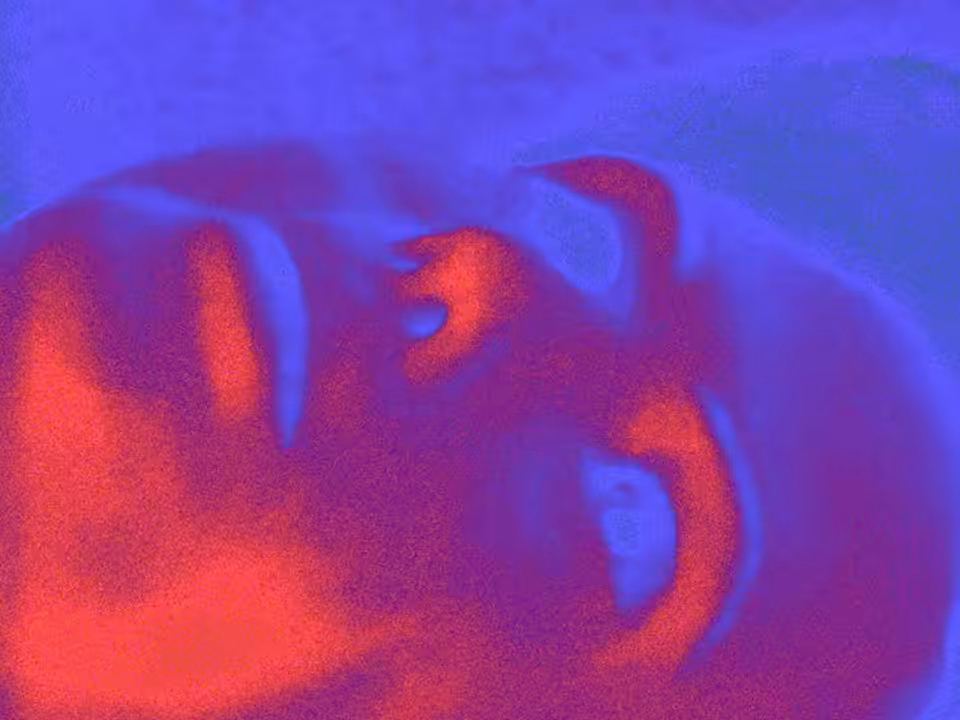 Living Machine