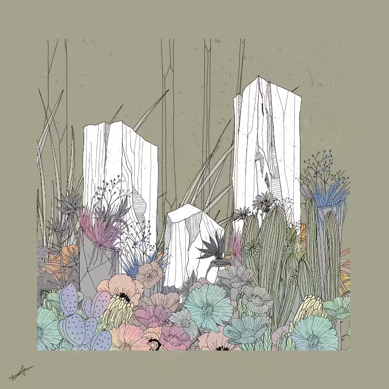 Garden of Lines #Rocks_Blooms #6