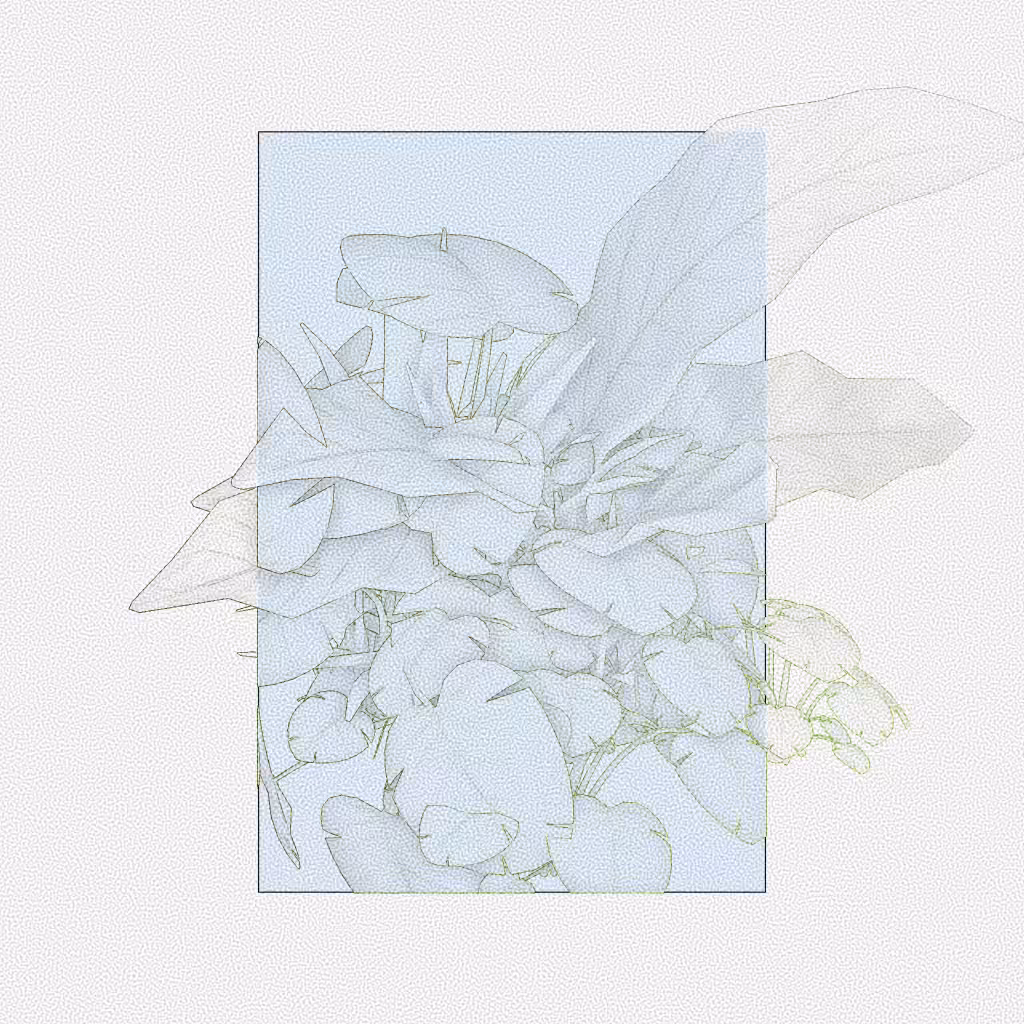 Botany #146