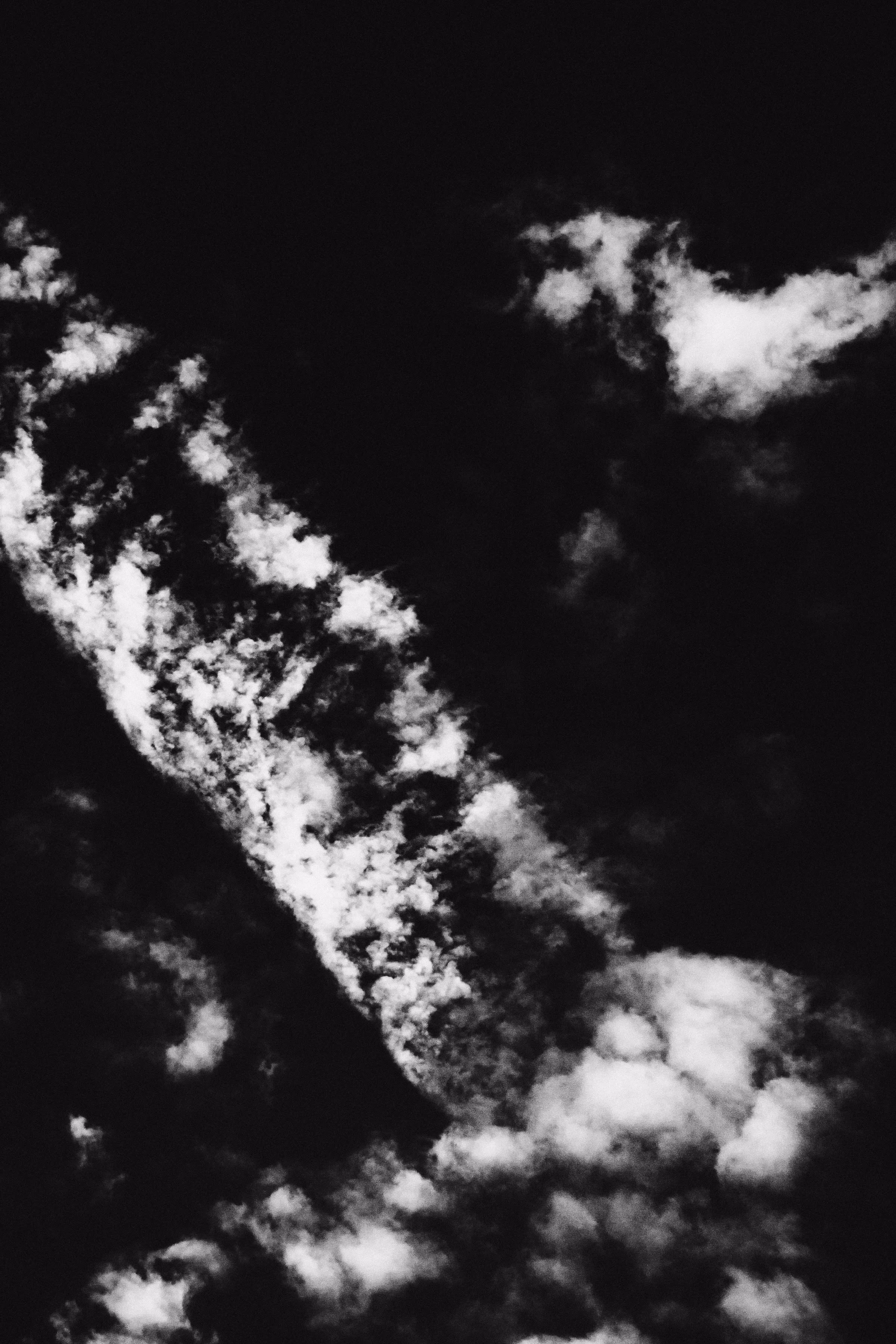 Monochrome Nature #007