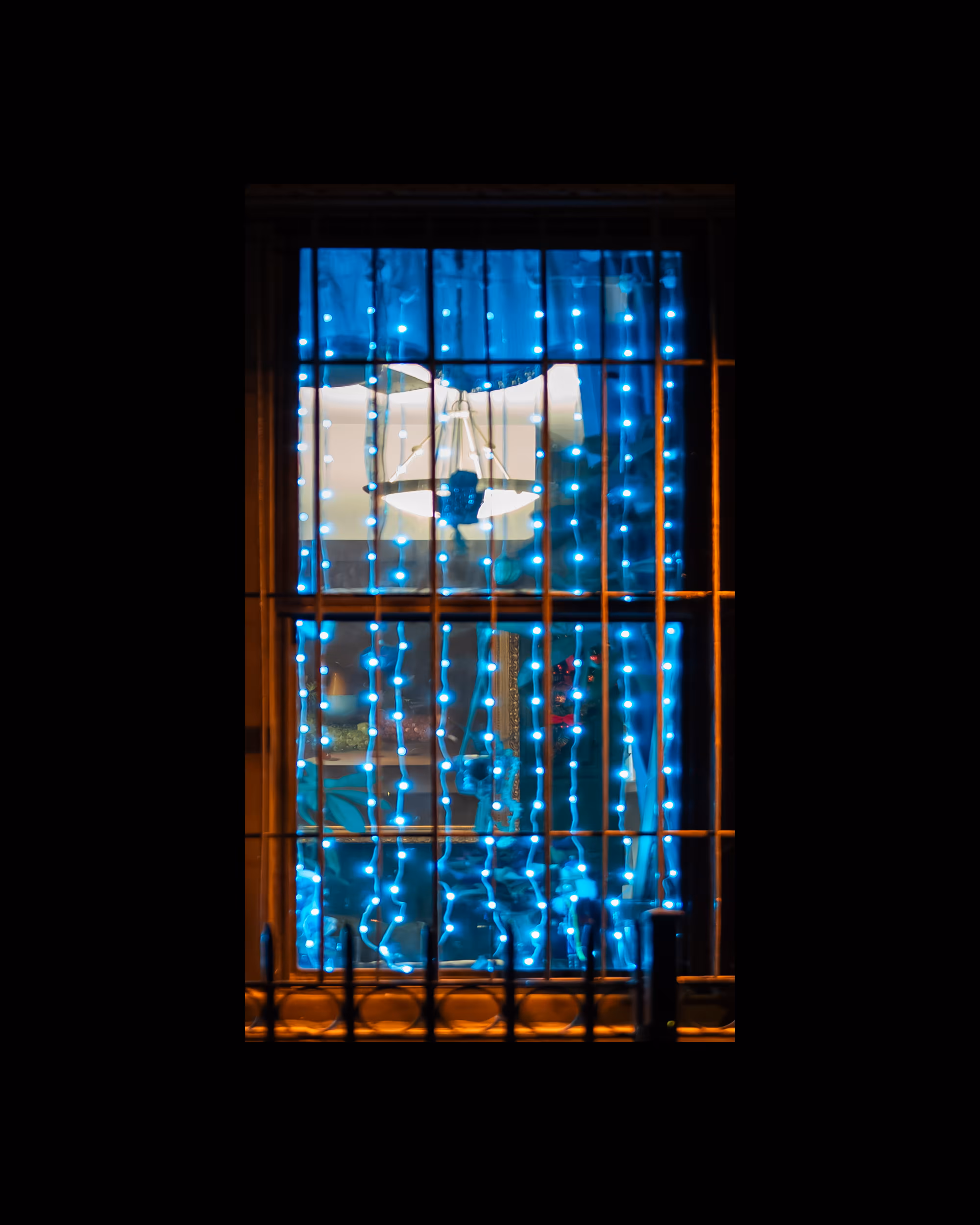 WINDOW 141
