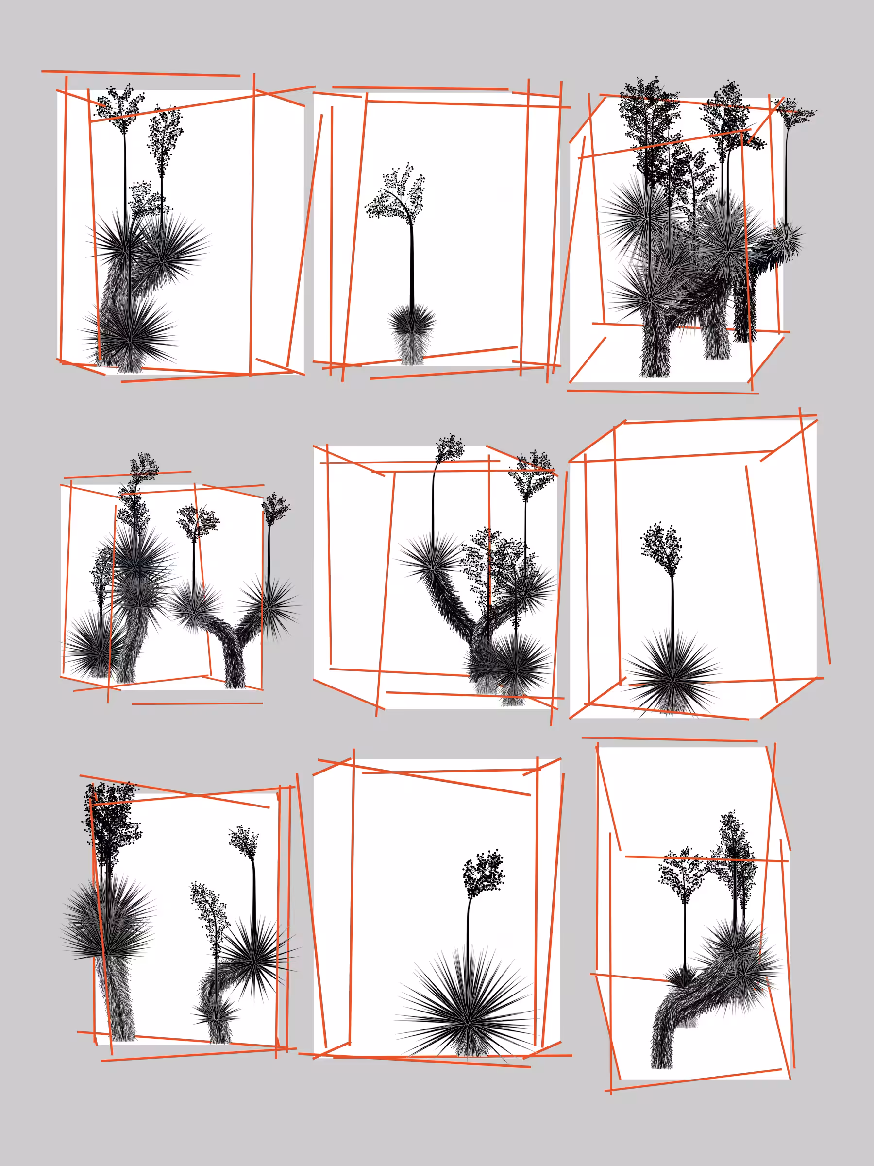 Marfa Yucca #292