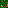 Klee#2