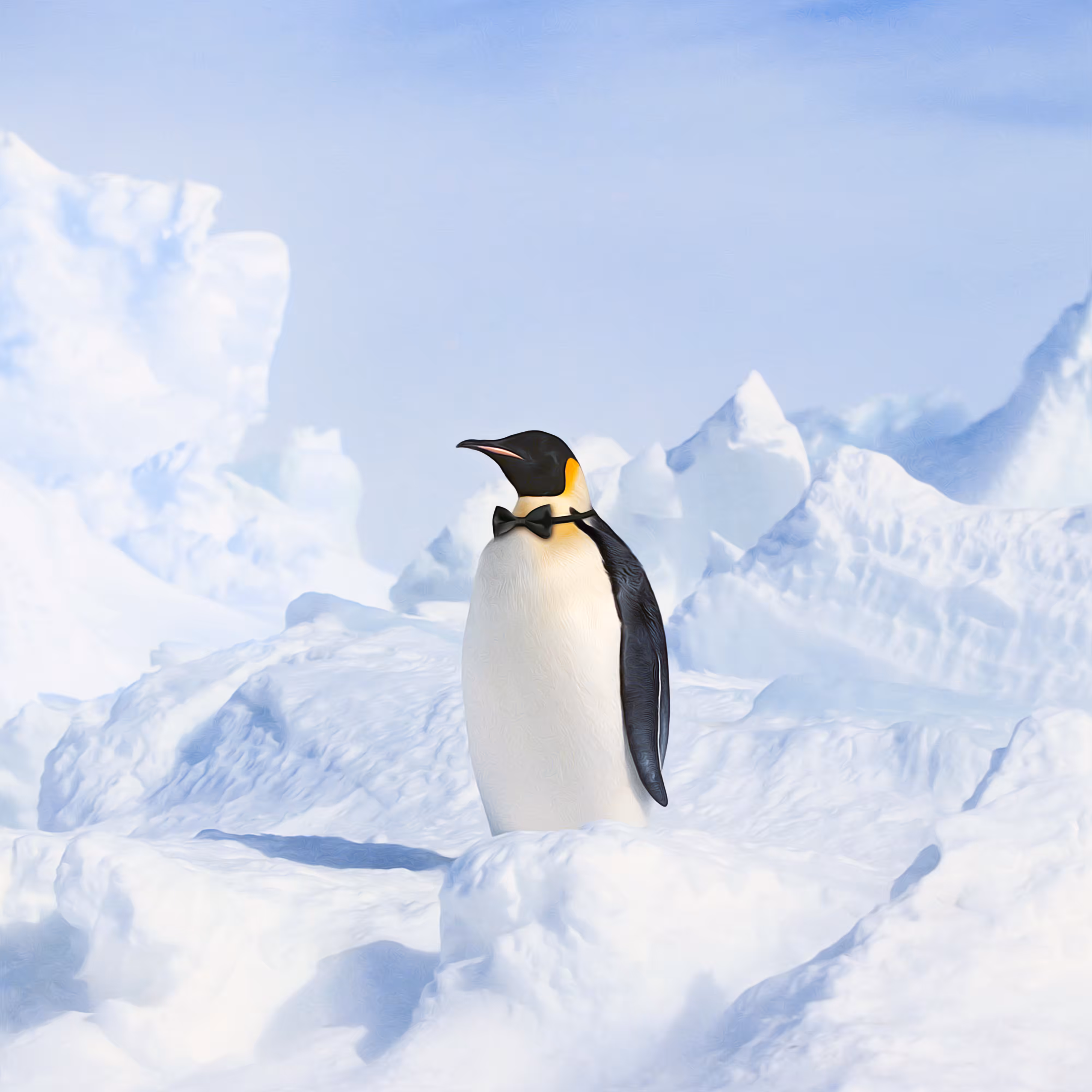 Animals #14