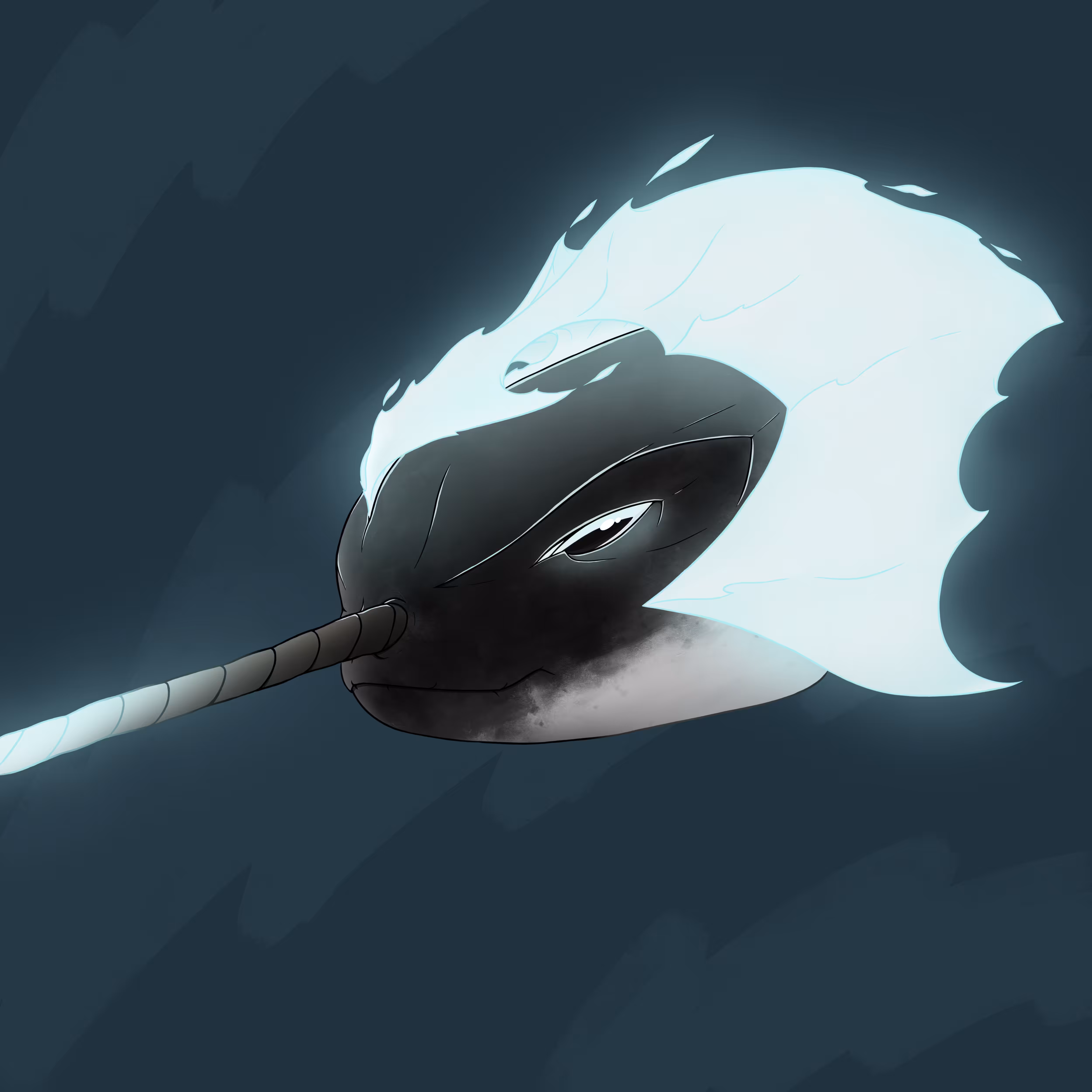 Alpha Narwhal