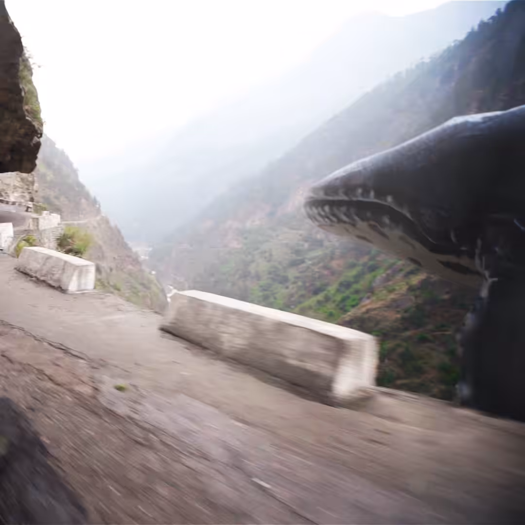 Flying Whale