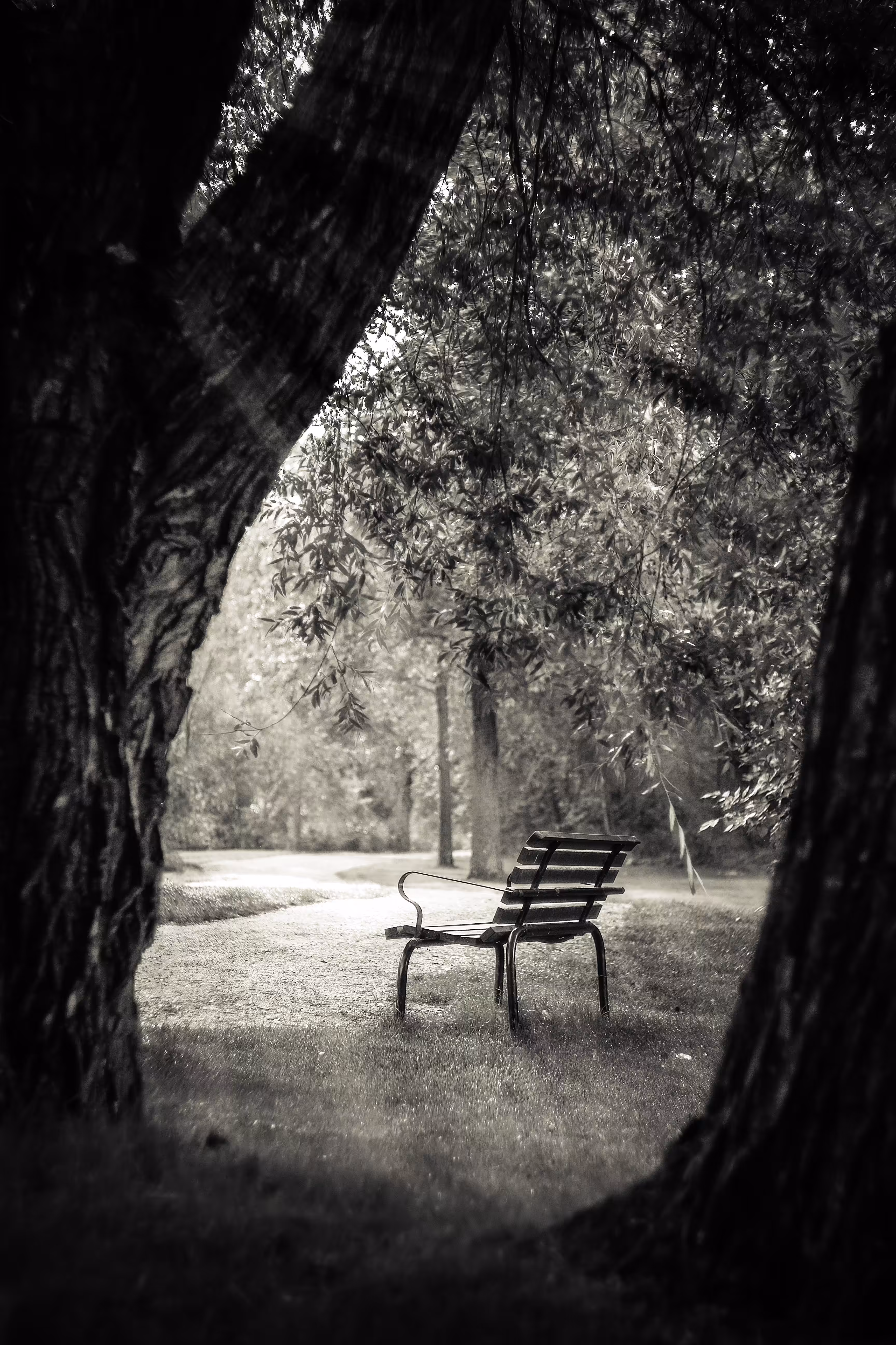 The Bench
