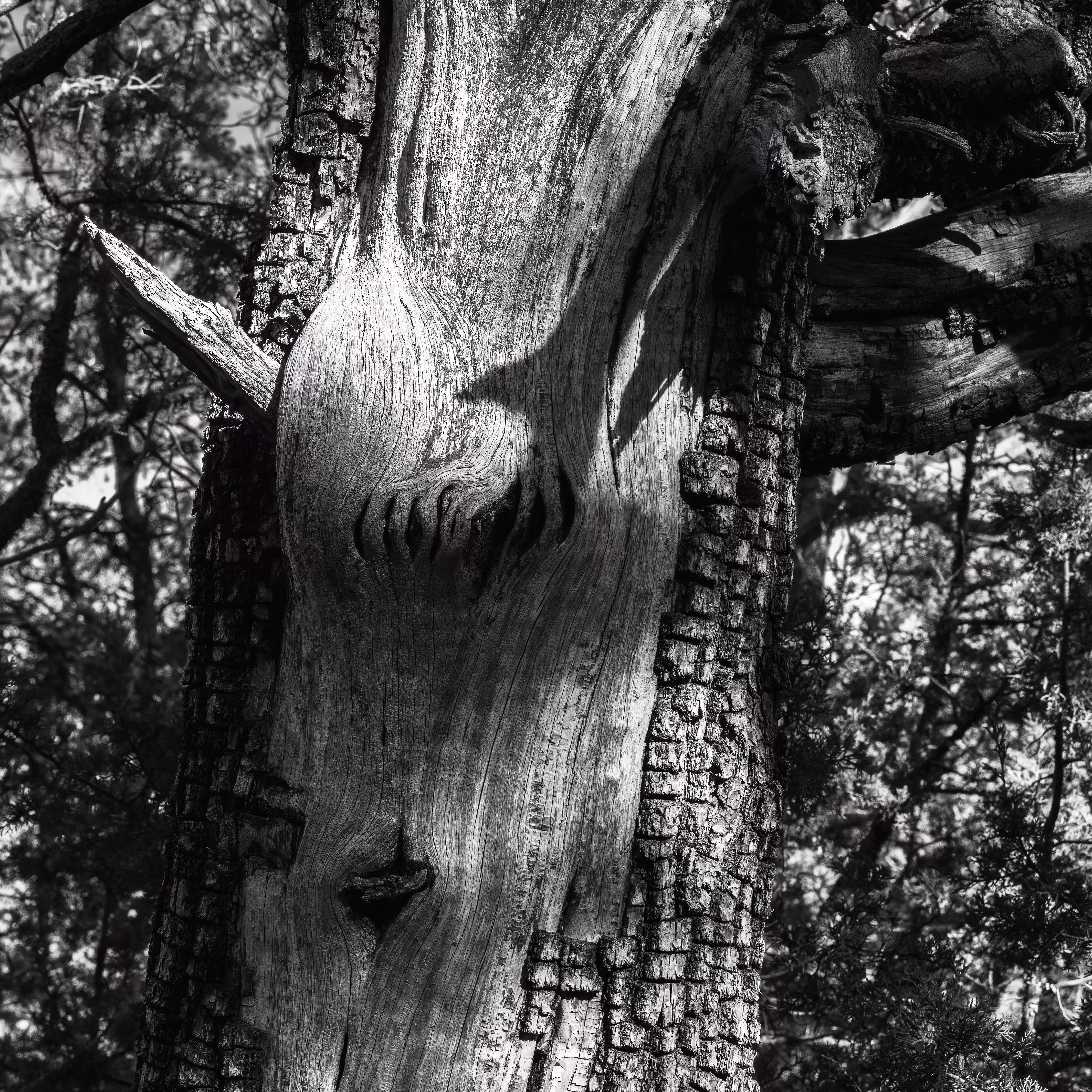 Devil's in the Details
