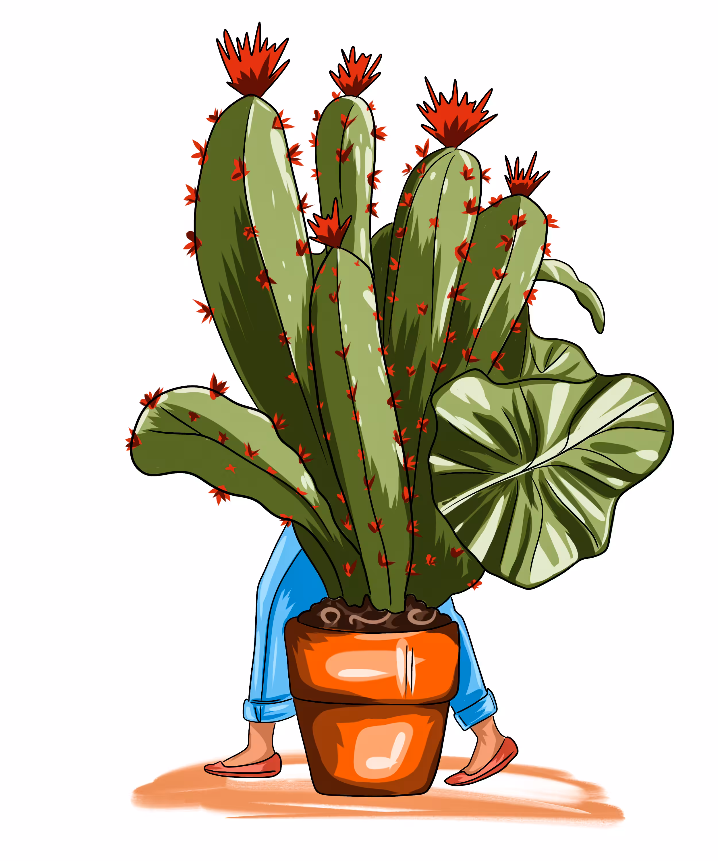 Cactus🌵