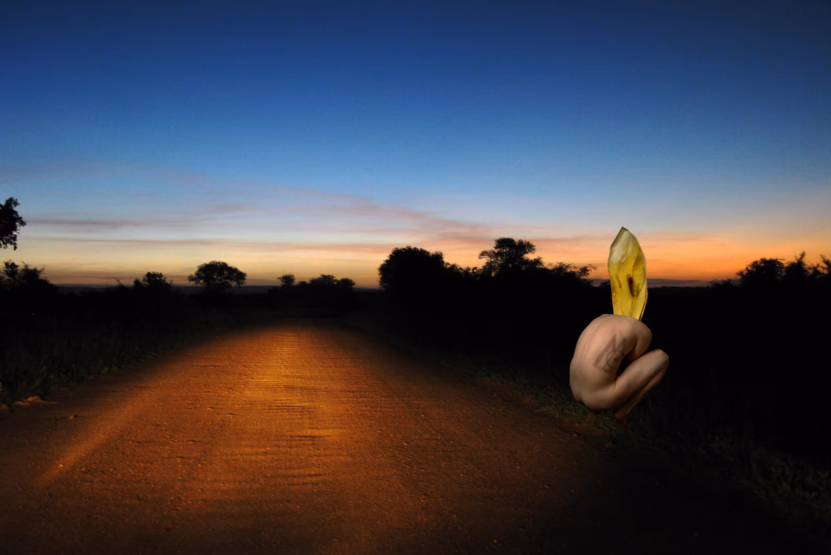 .I’M A RABBIT IN YOUR HEADLIGHTS.