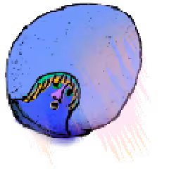 egg1たまご1