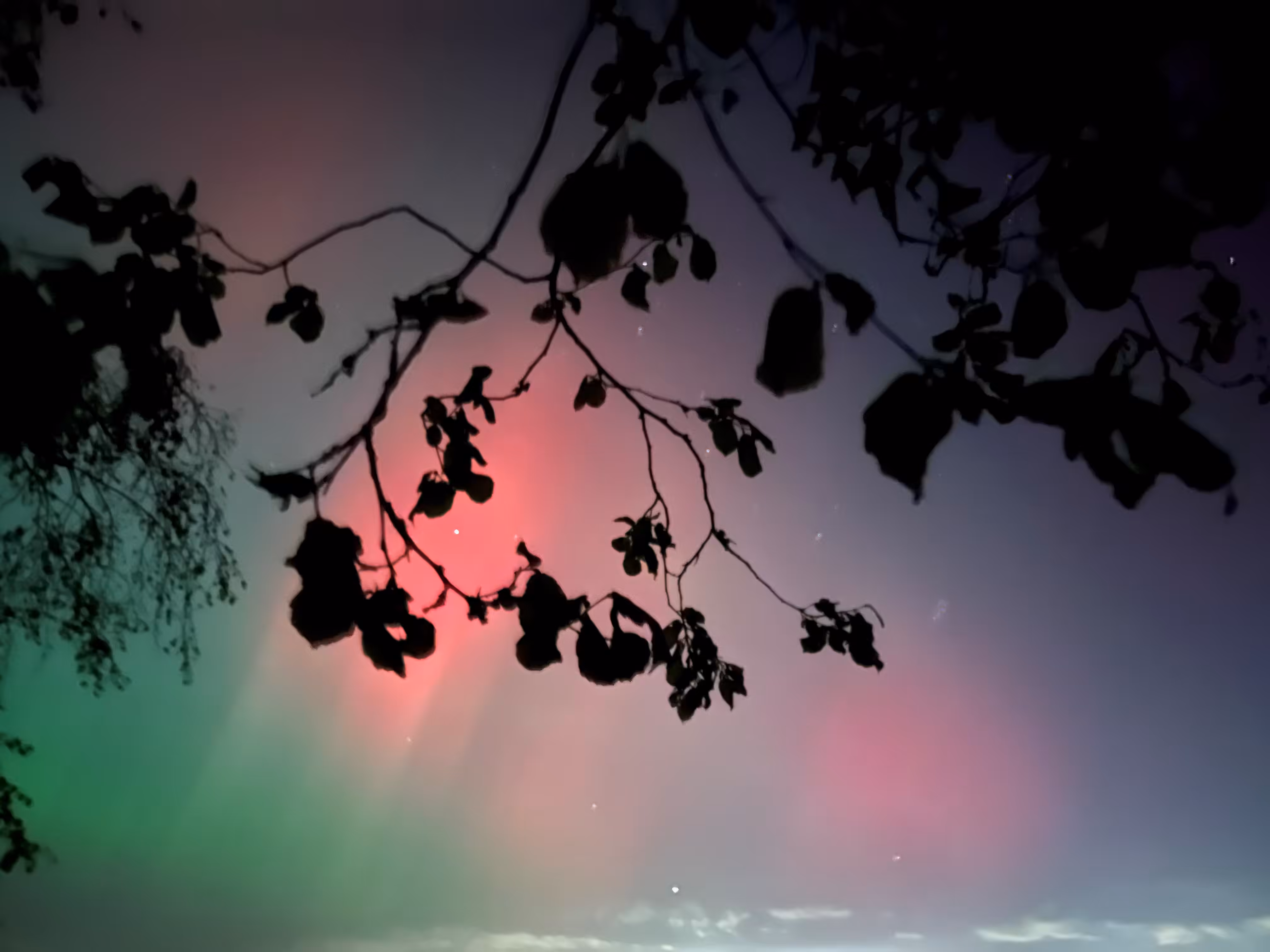aurora dreams
