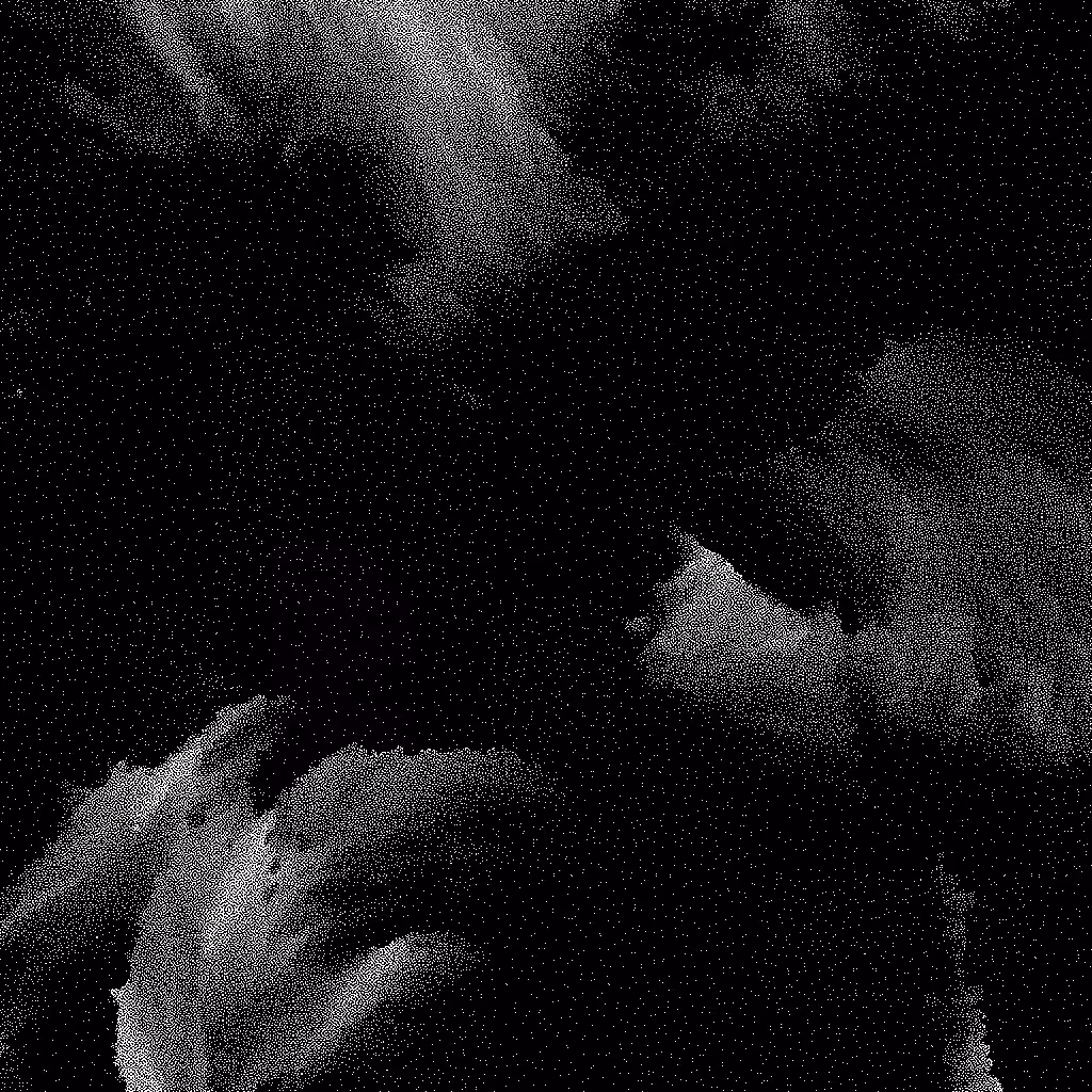 Noise #855 