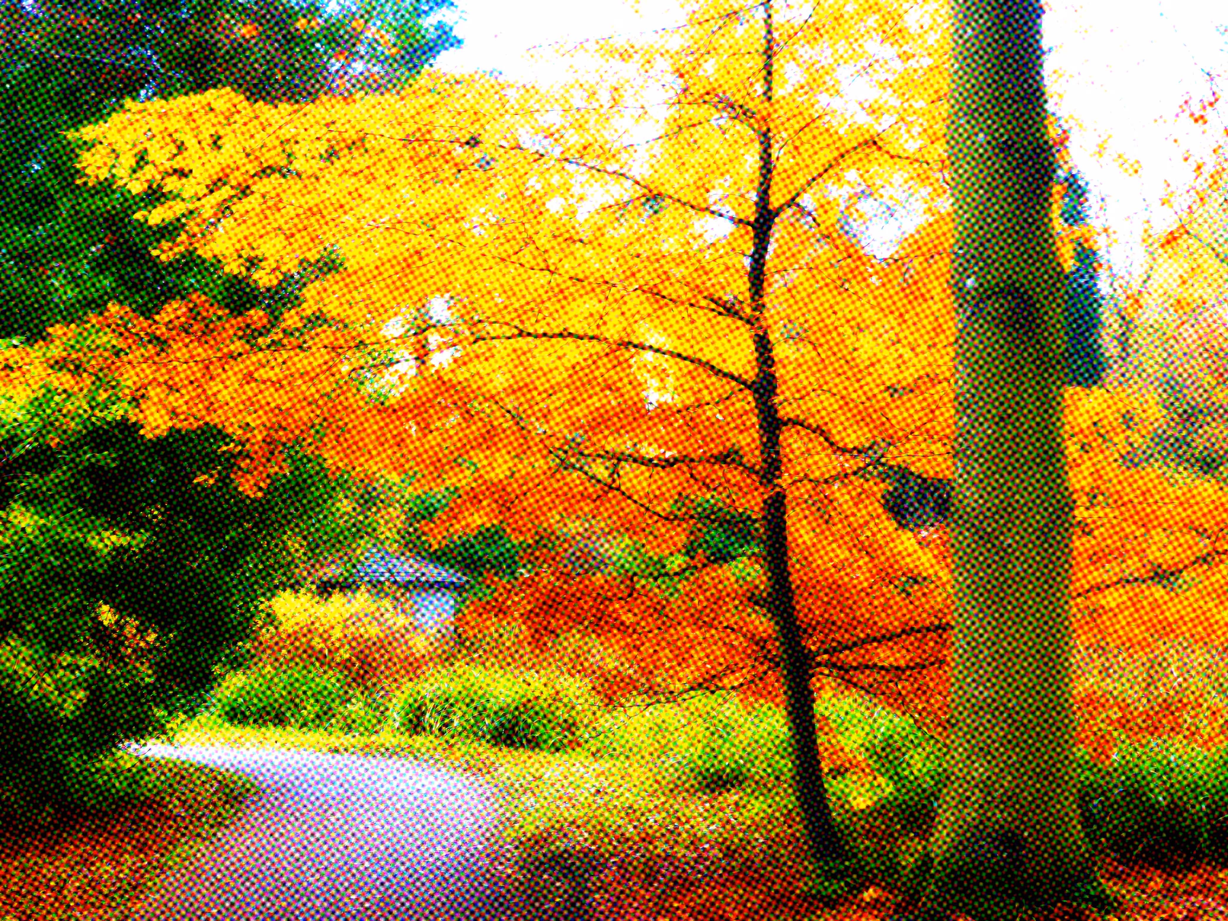 Seasons 03 - Autumn