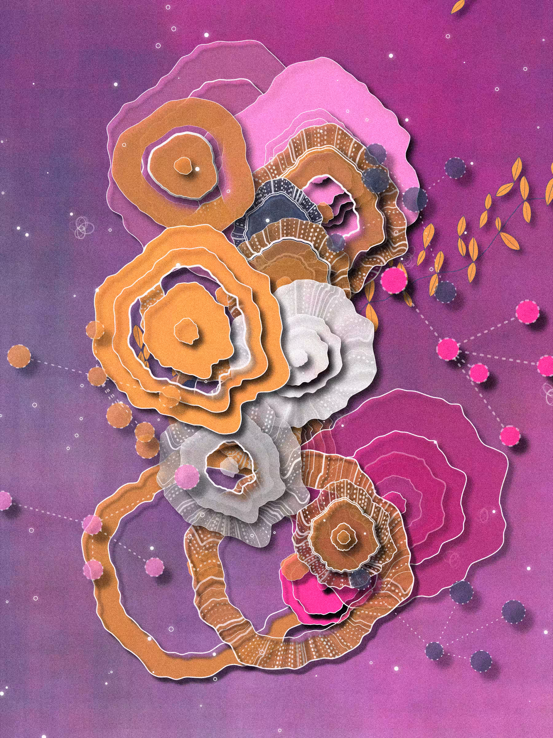 Coral #17