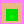 Homage to the Pixel: Plant