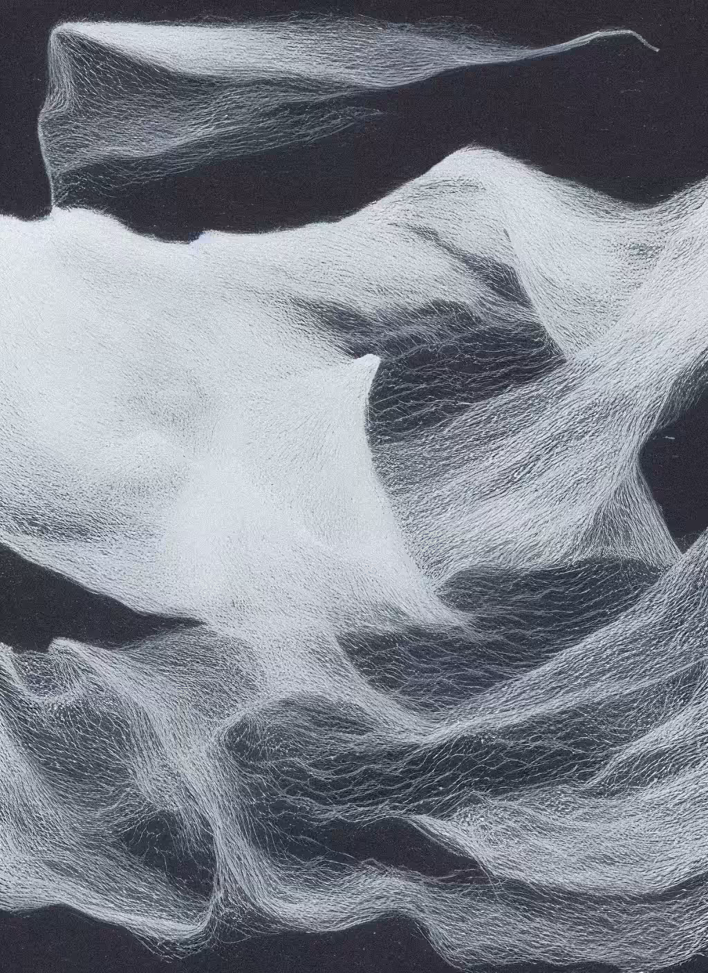 Icebergs, torn nets [5]