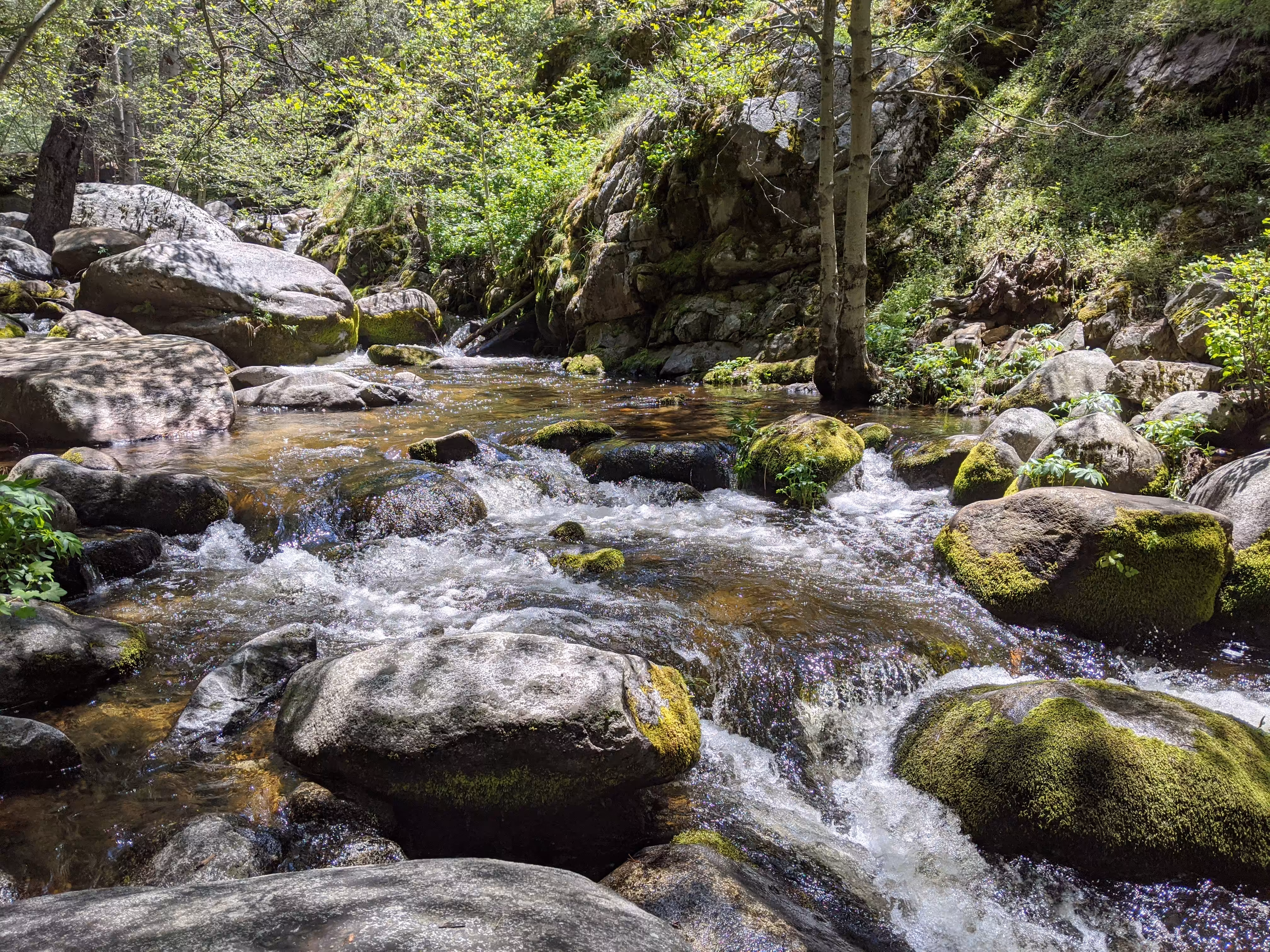 Objkt #7 Sequoia National Forest_Camp Belknap II