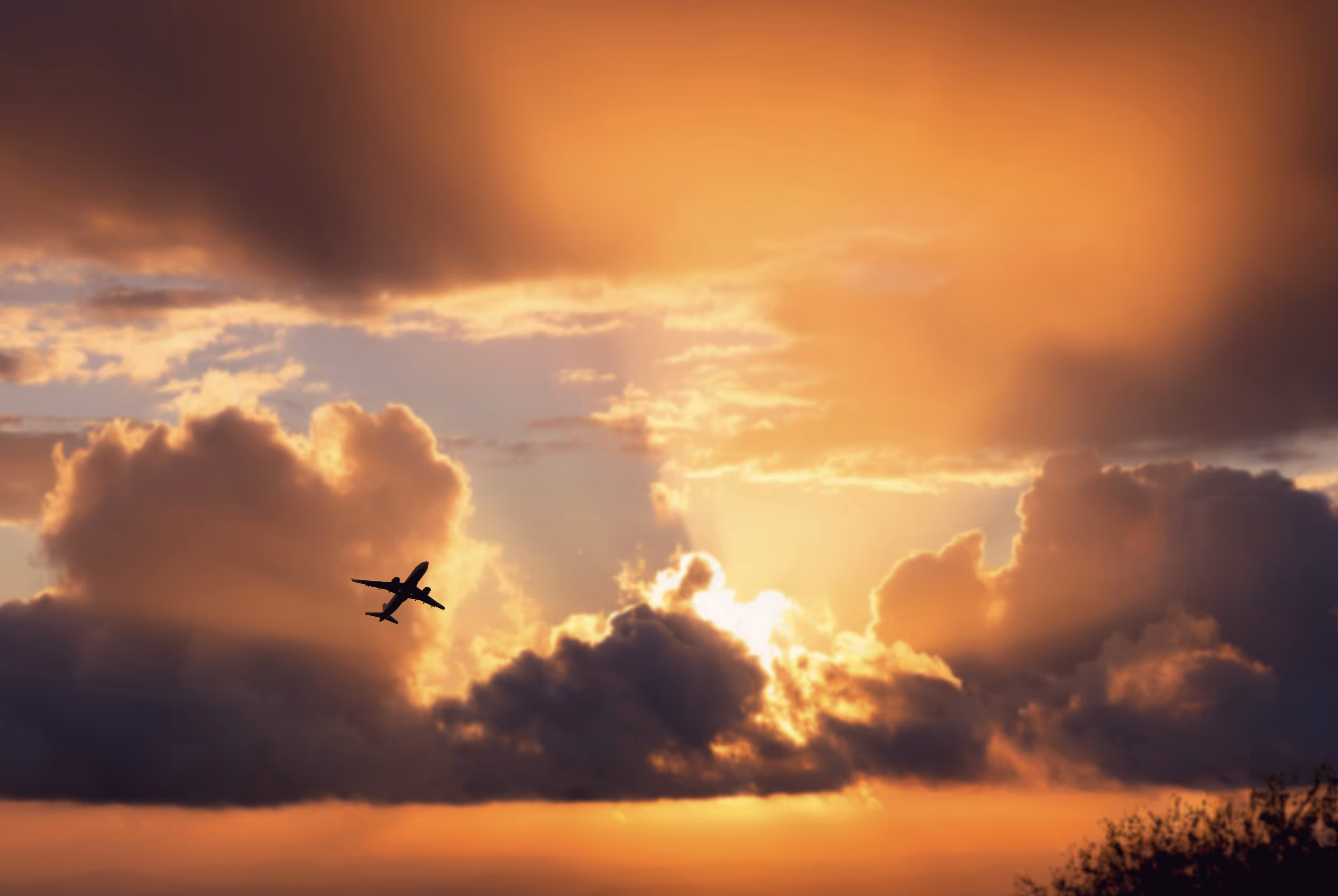 Up in the Sky