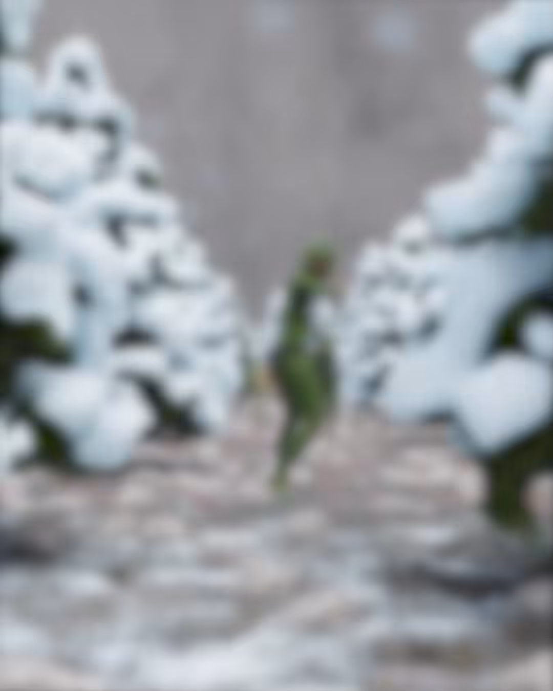 Pepe Noël