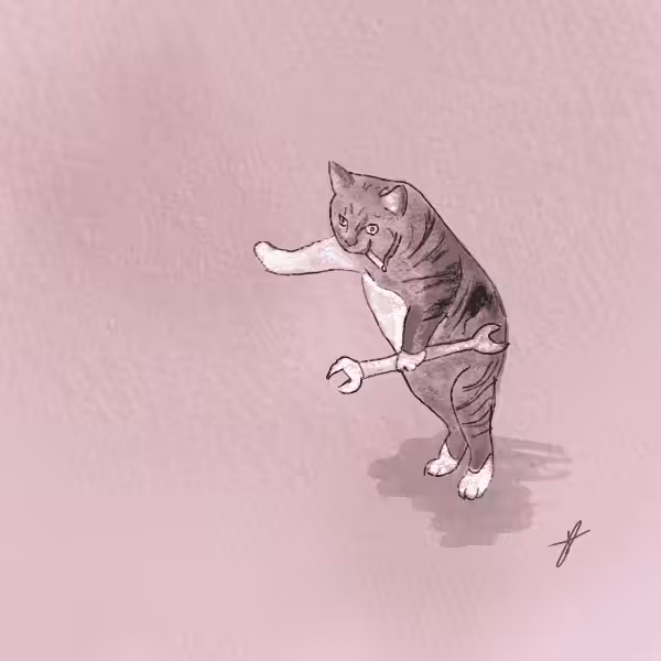 Repair Cat