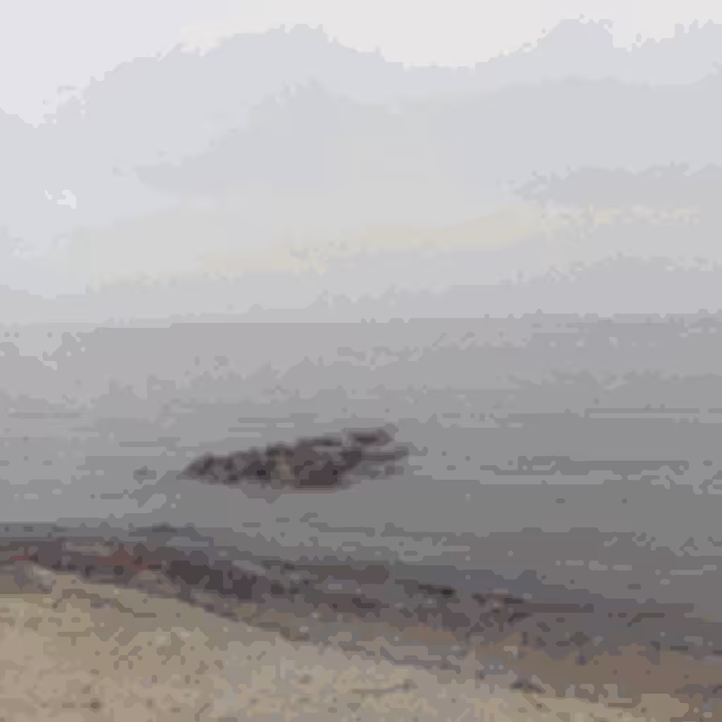 el cielo y los pájaros vistos desde el fondo del mar