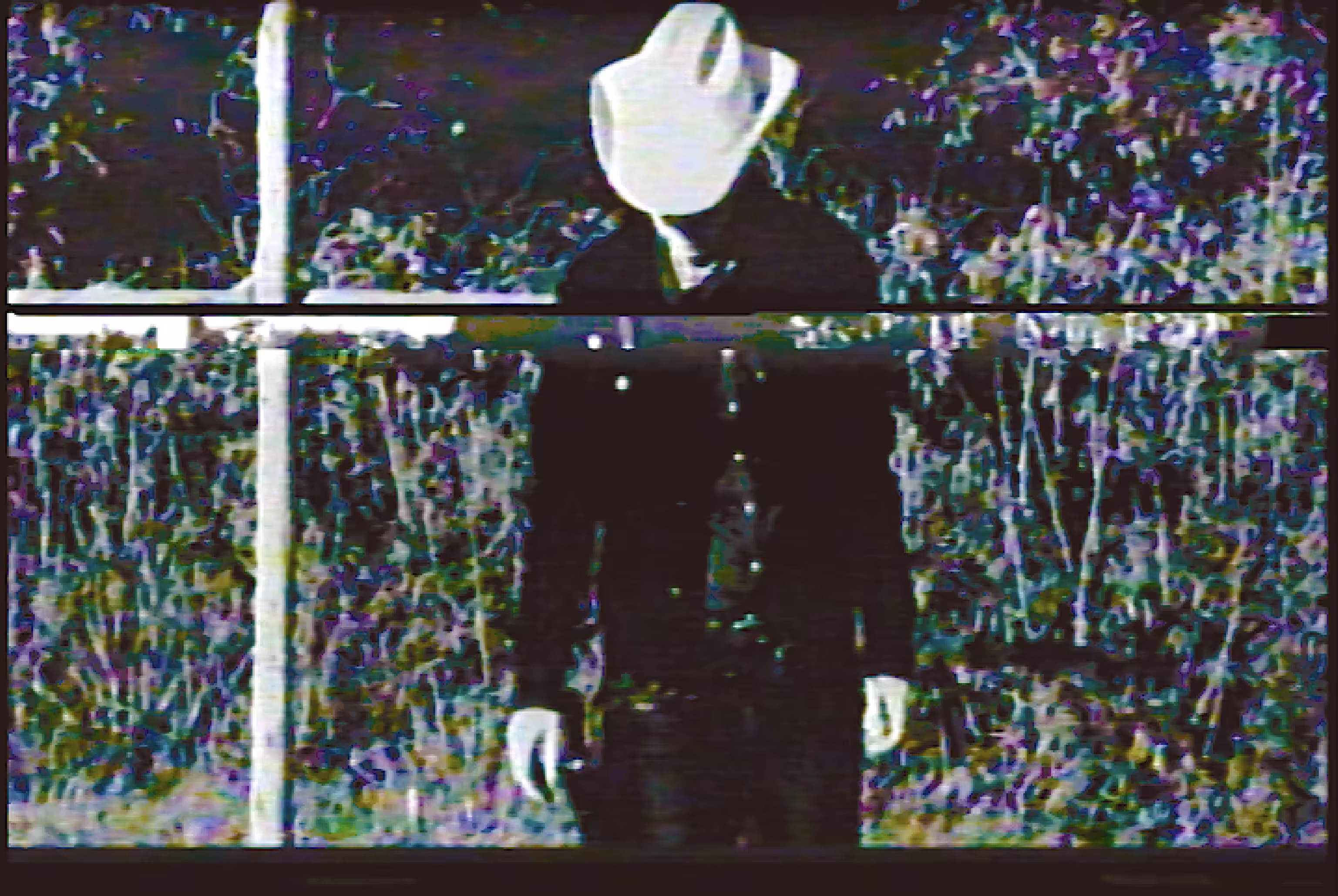 at The Cross, The Cowgirl