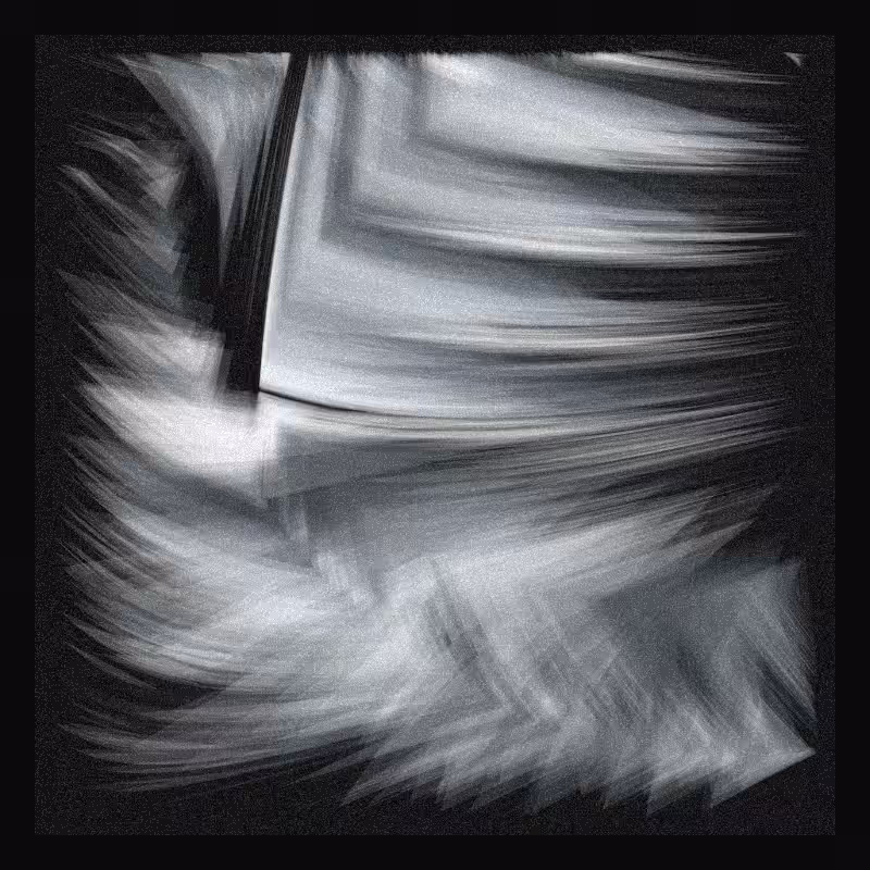 Velum #123
