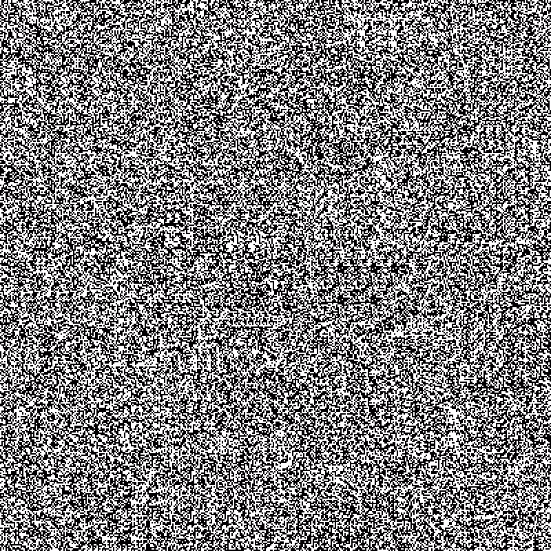 no noise #1 #4