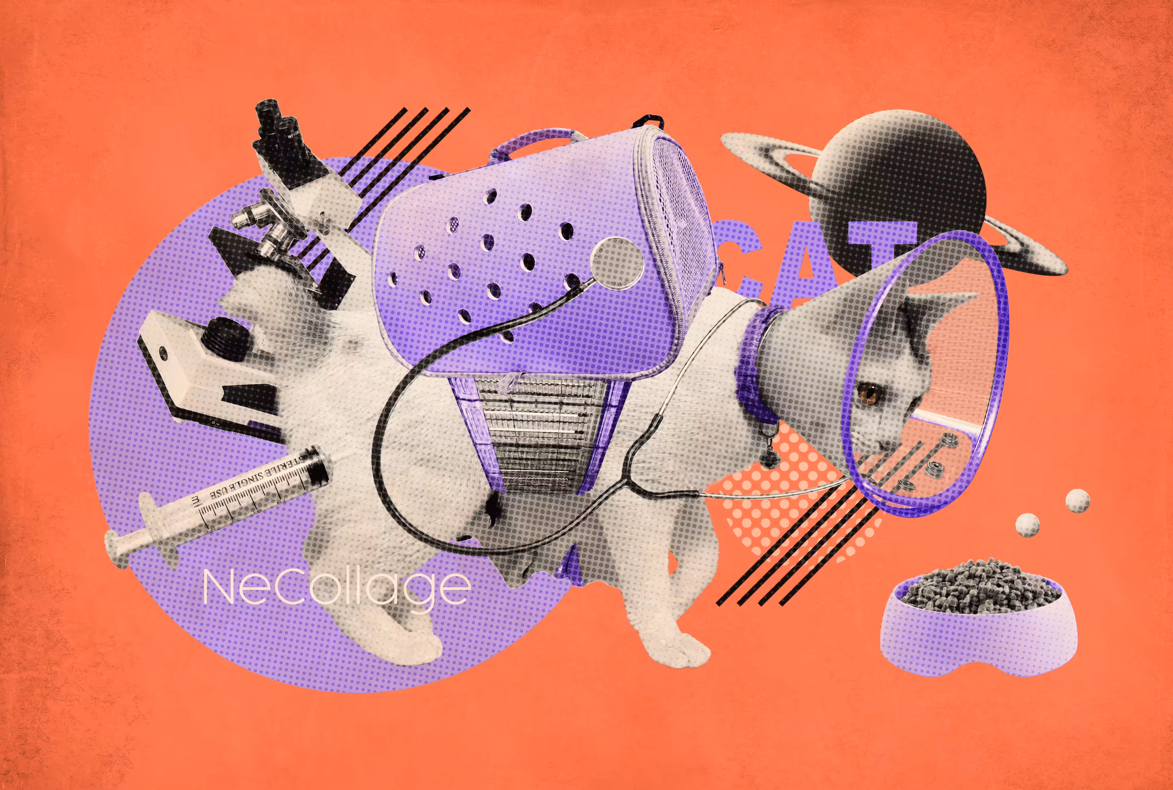 Necollage3