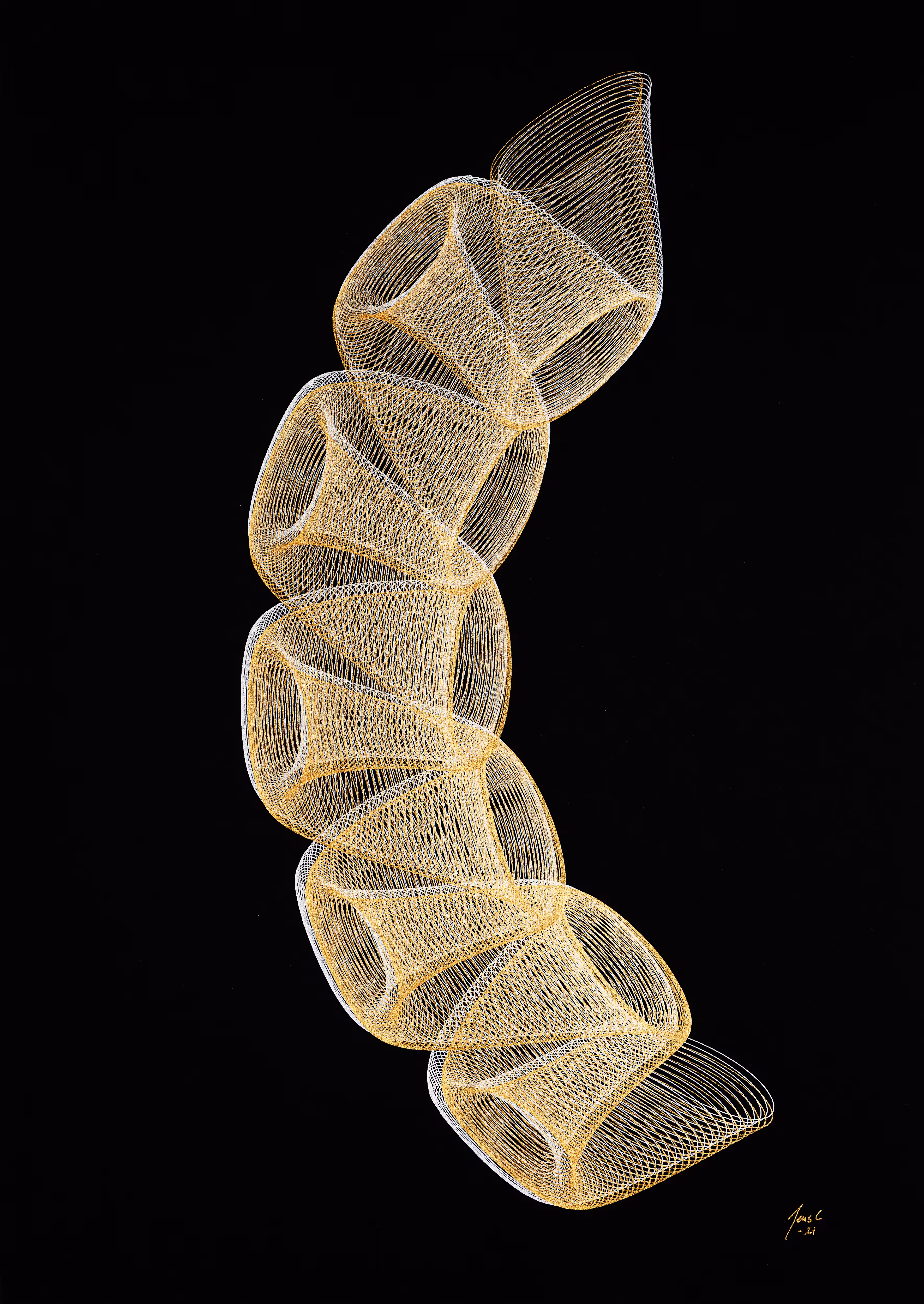 Spine