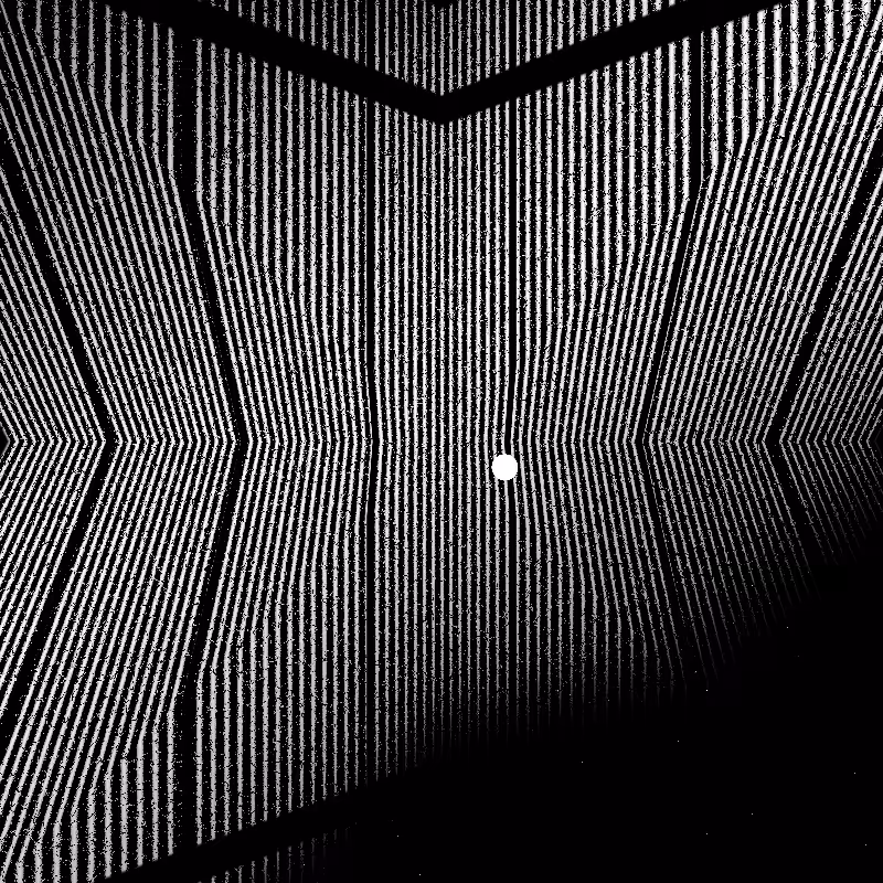 CARBON #31
