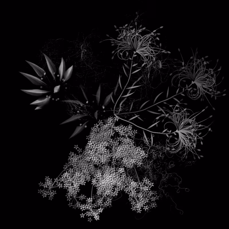 Botanical Ghosts #253