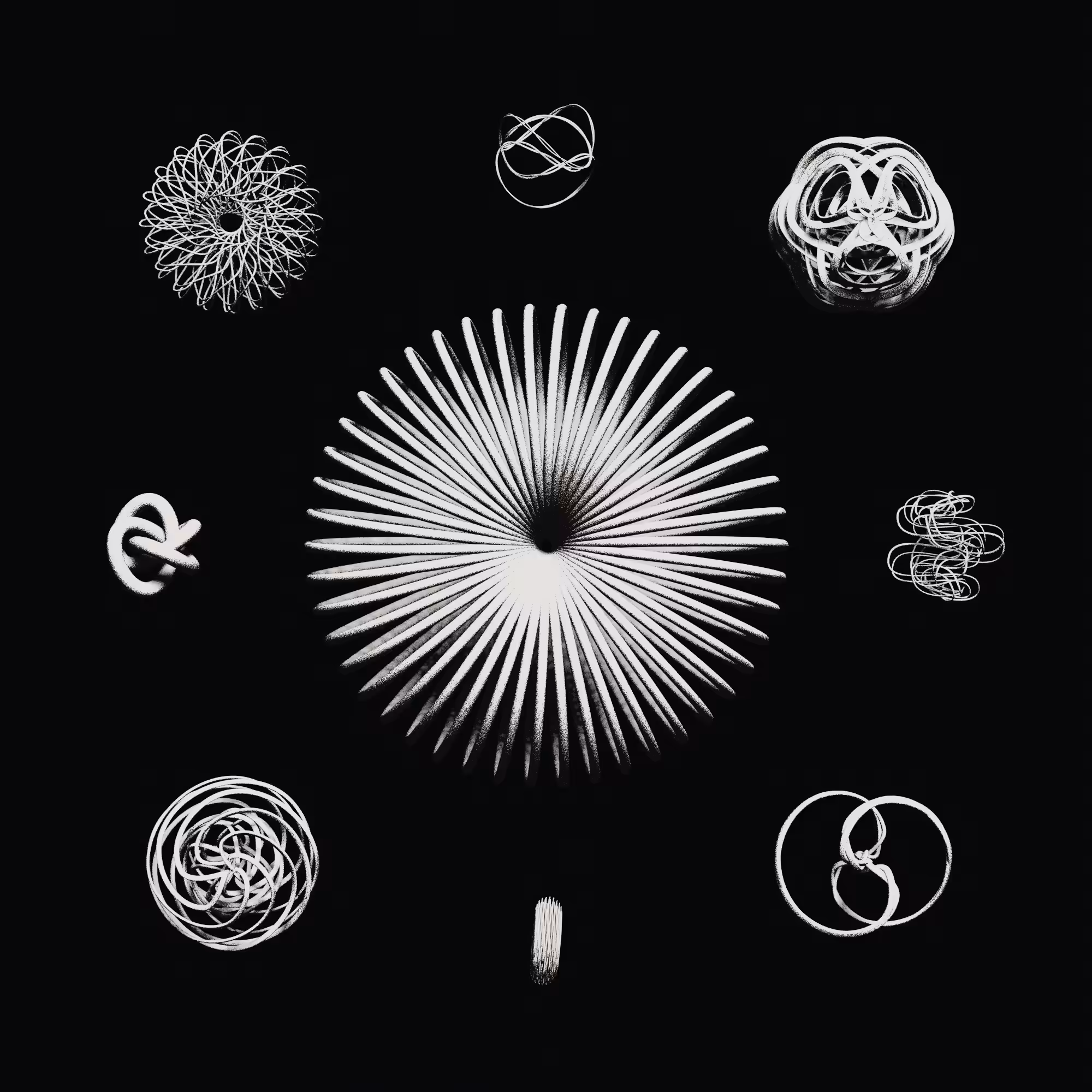 Pi: Torus specimen