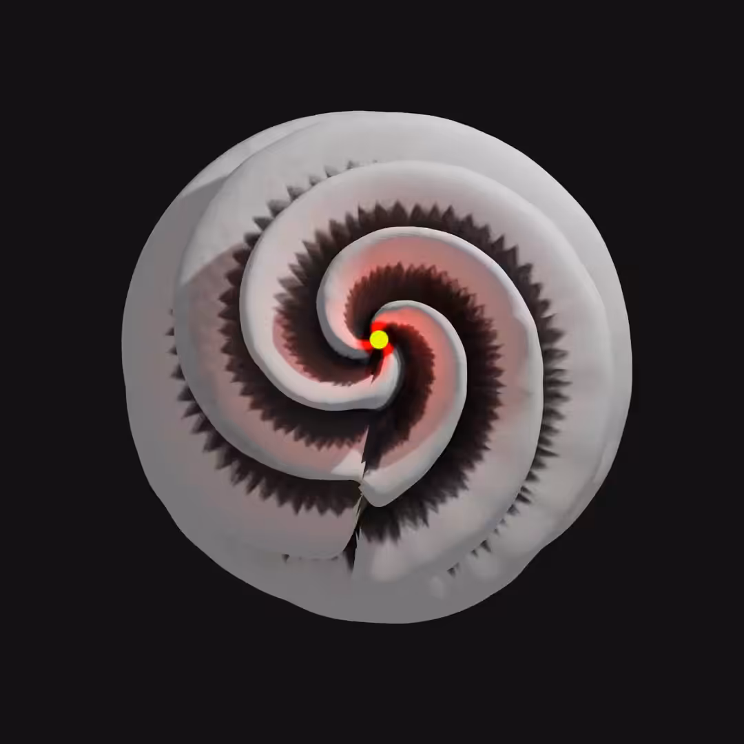 yyellow rred dott mollusk