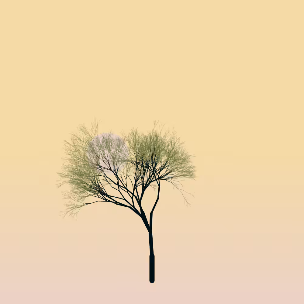 Sakura #49