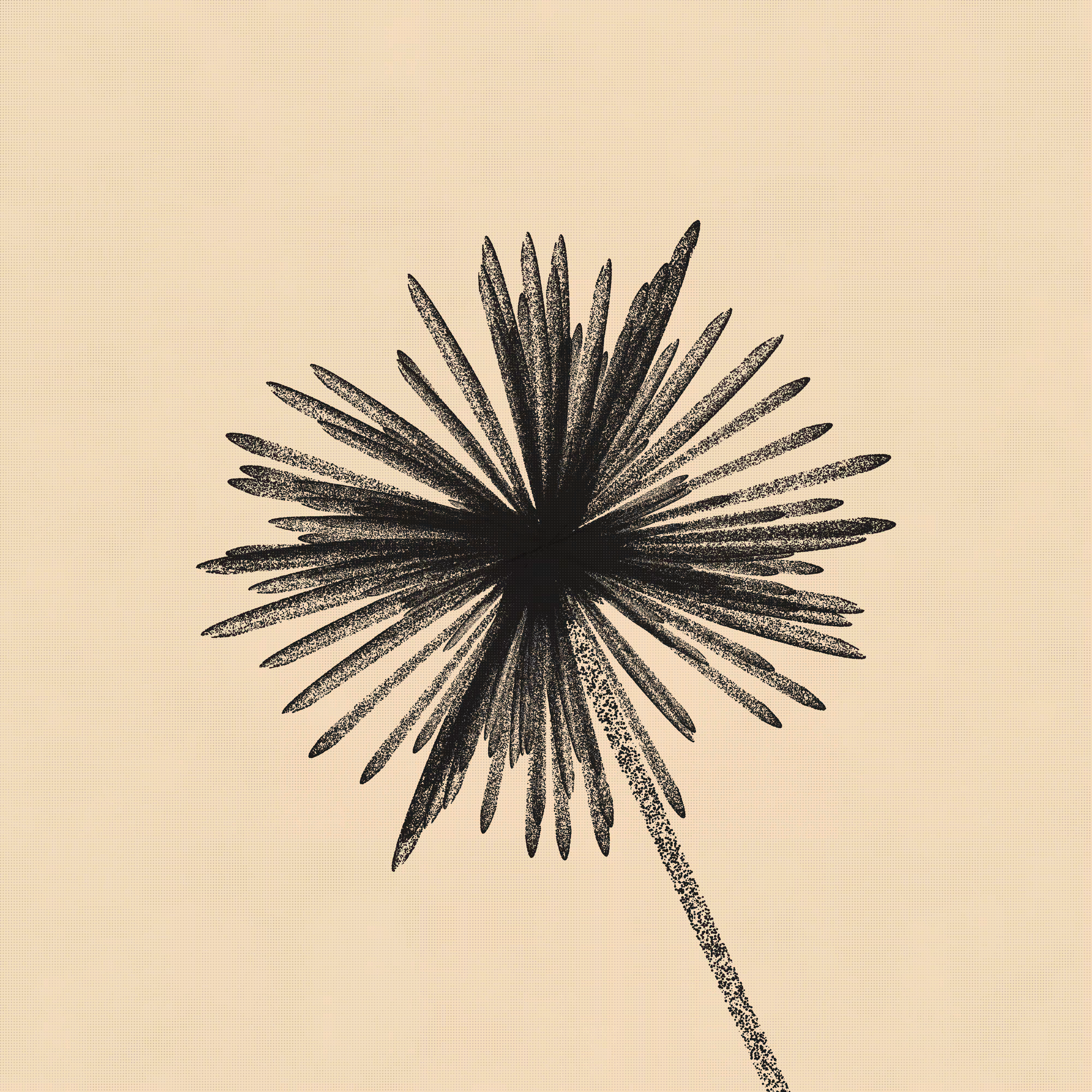 flos #64