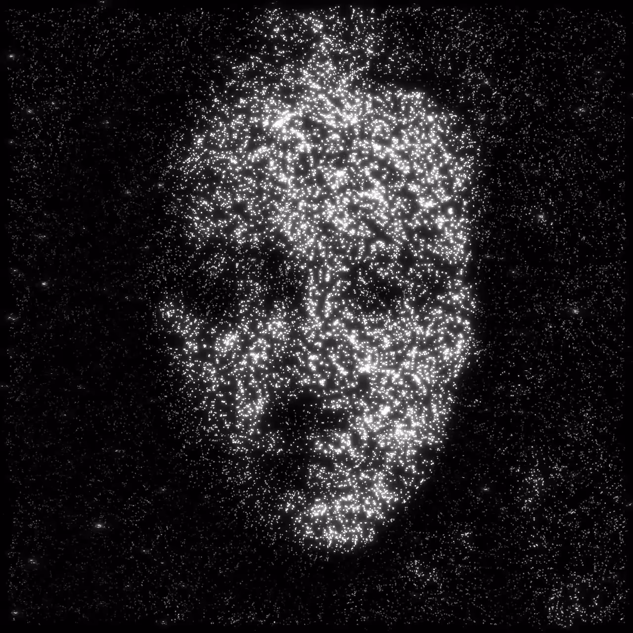 Cosmic gaze