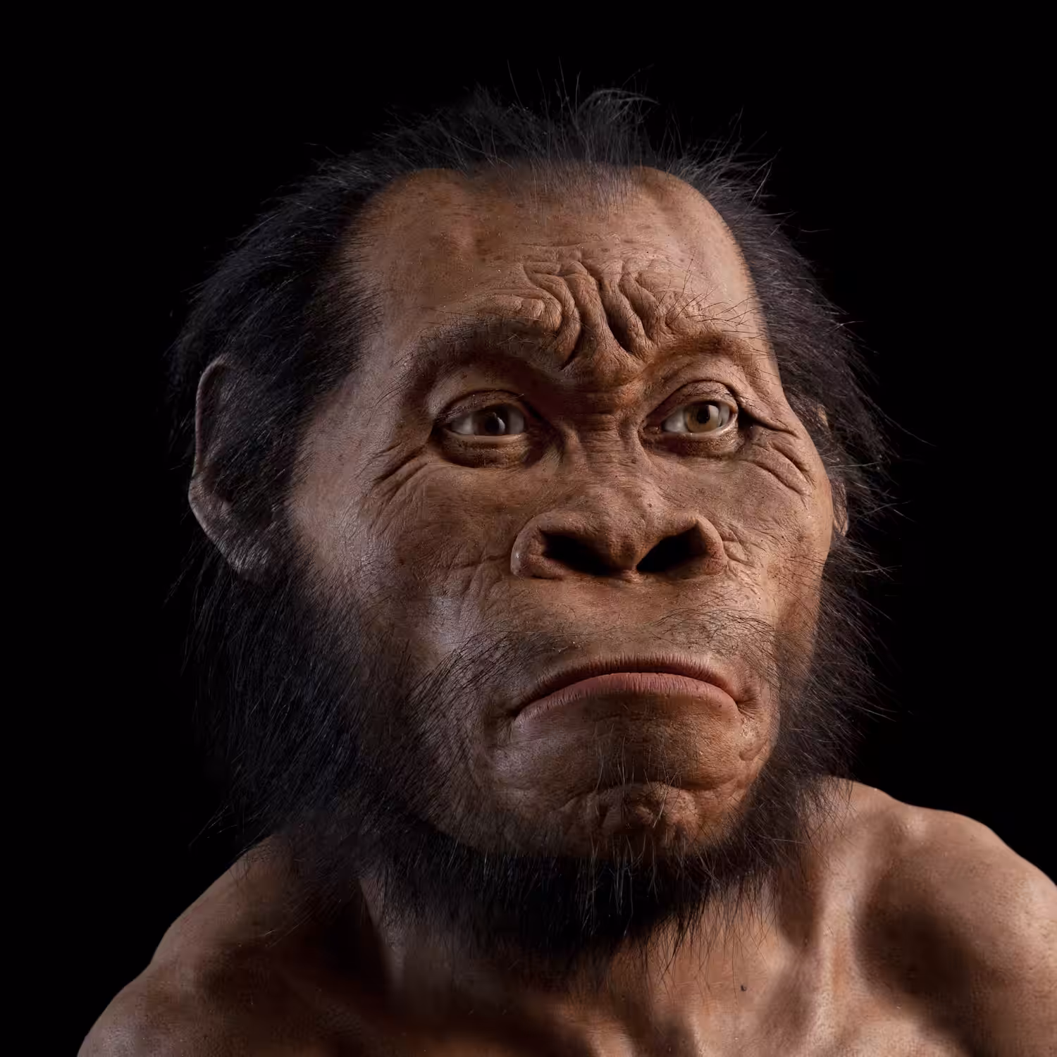 Homo naledi: Hominin #10