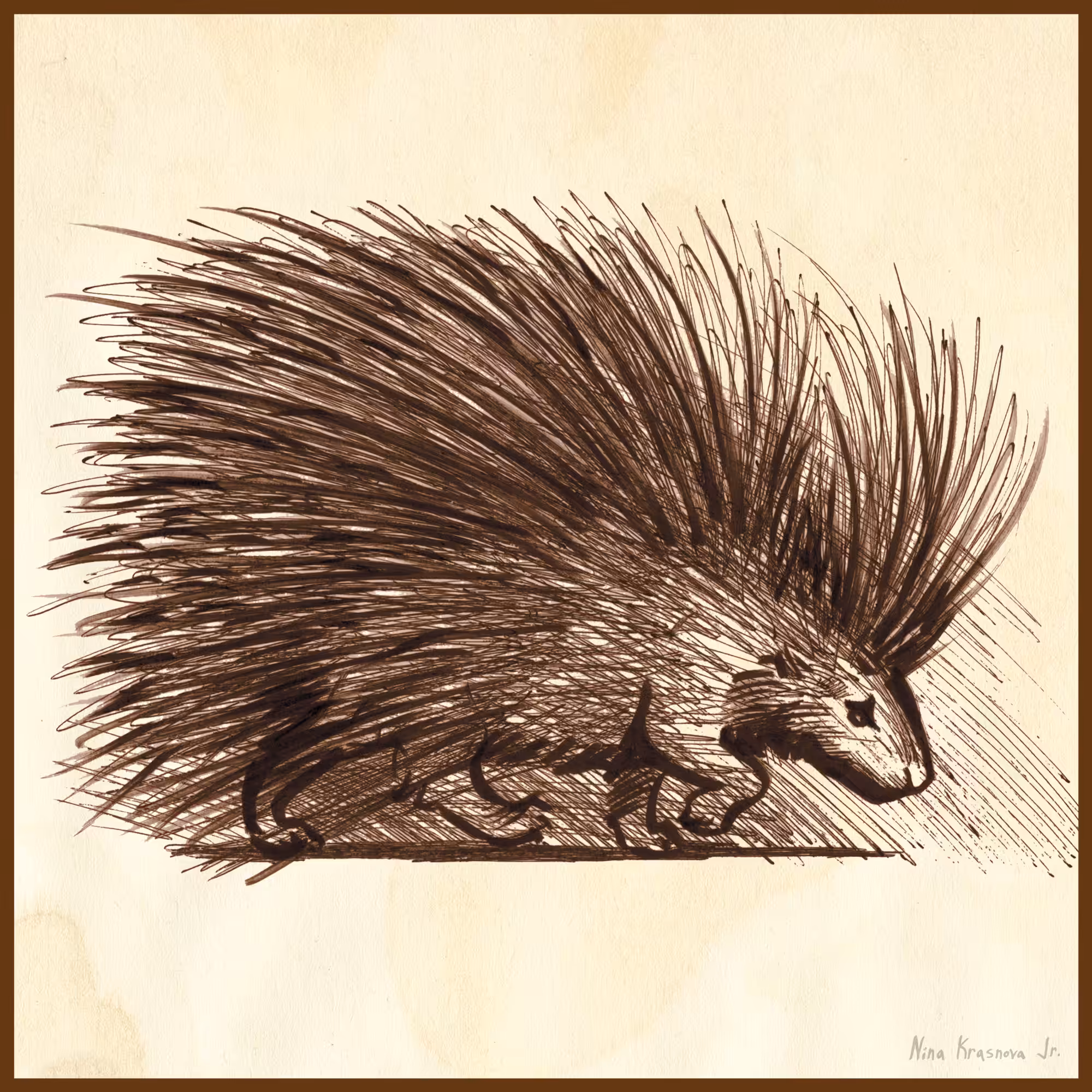 Porcupine
