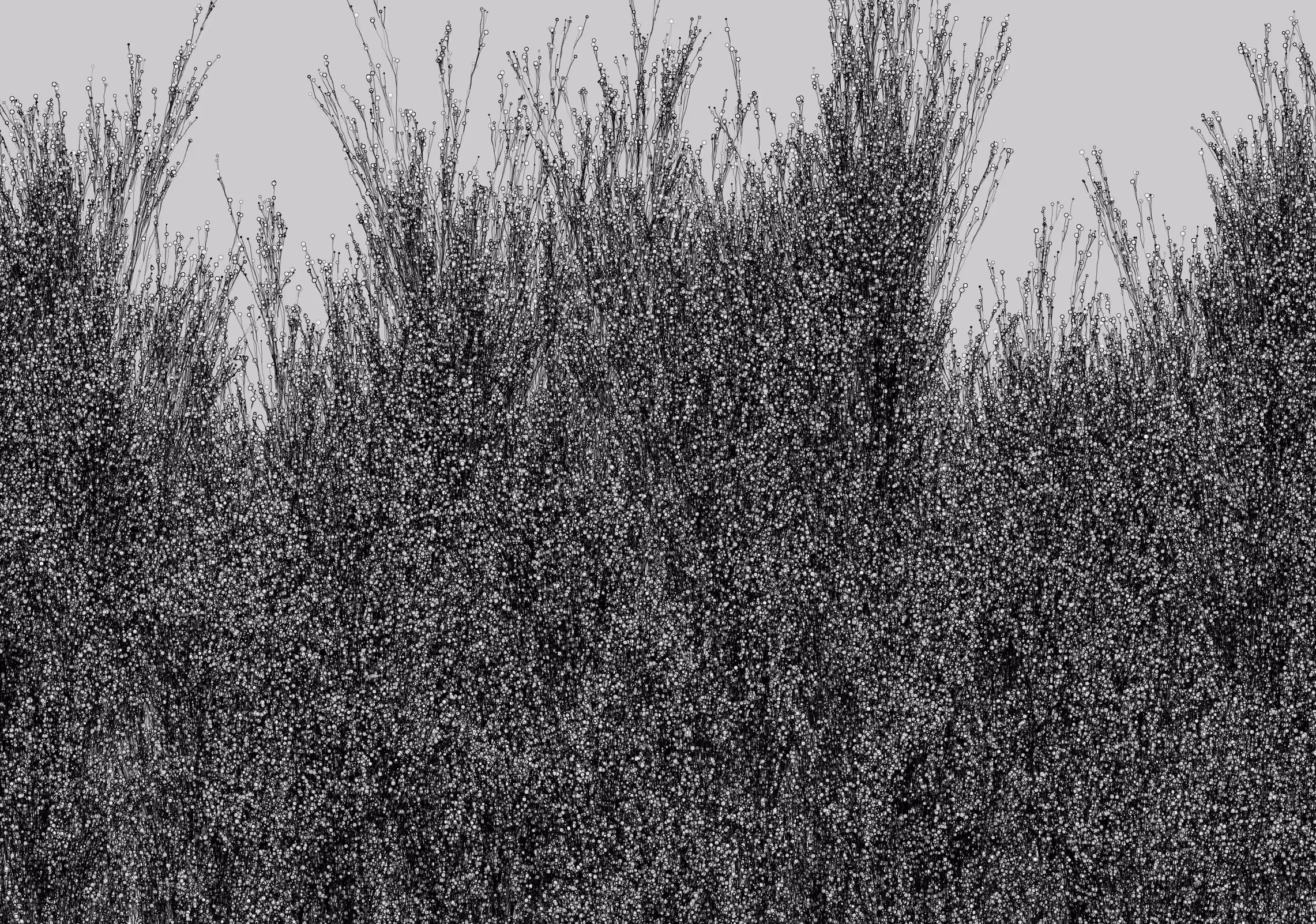 Waldrand 1