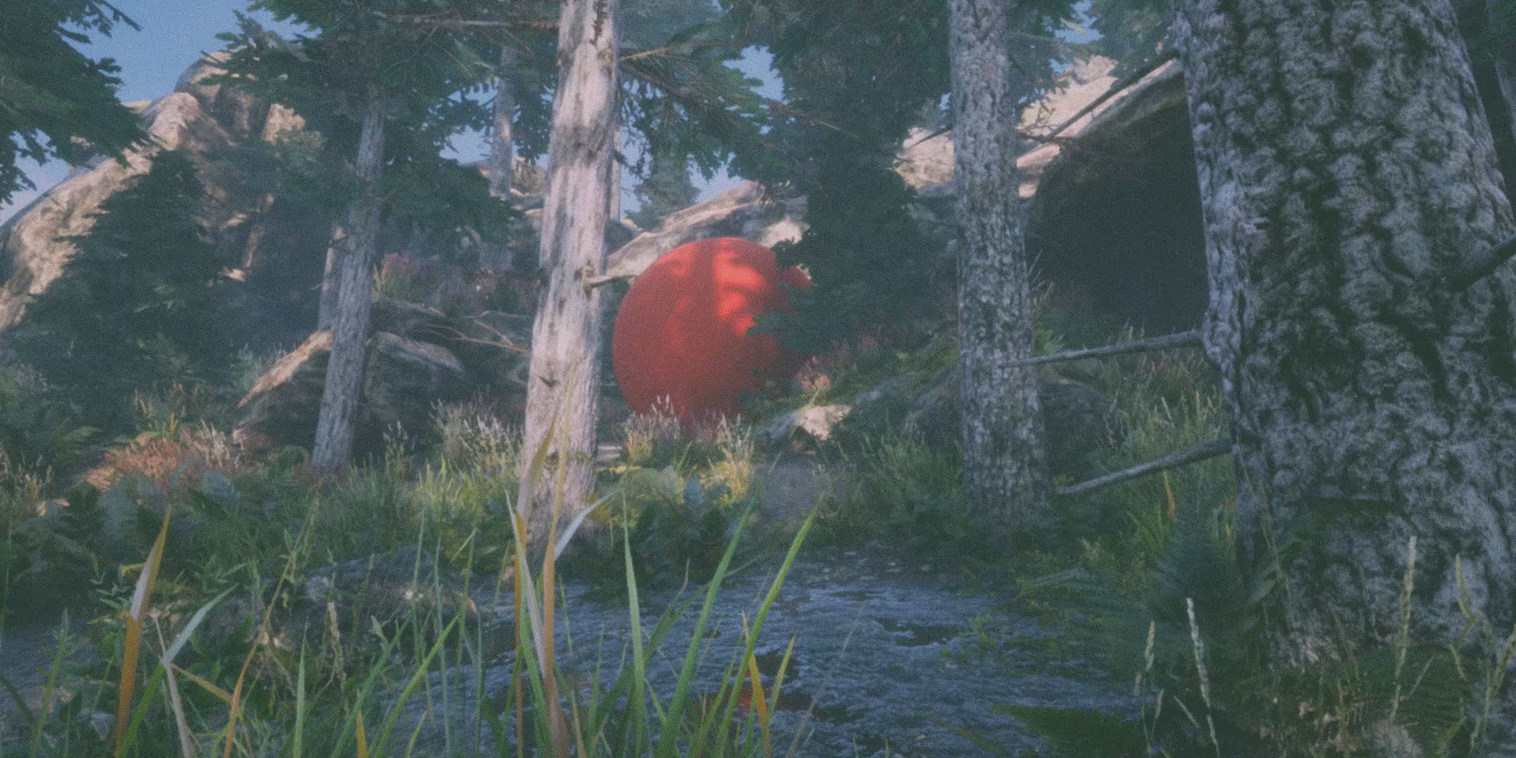 Lurking in the woods